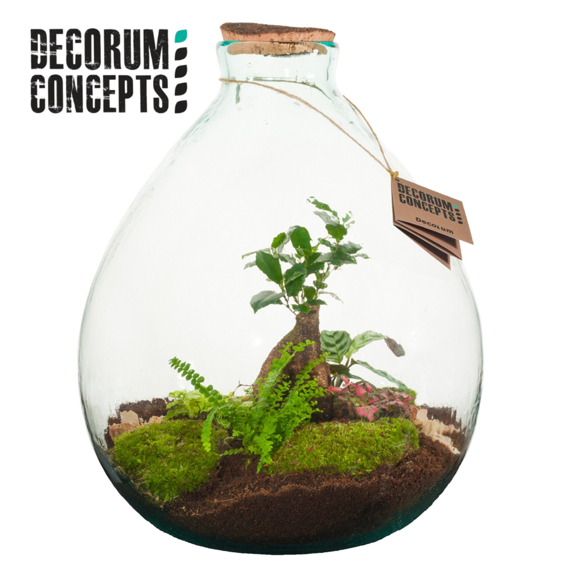 Terrarium Galaxy medium (Decorum concepts), D 36 cm