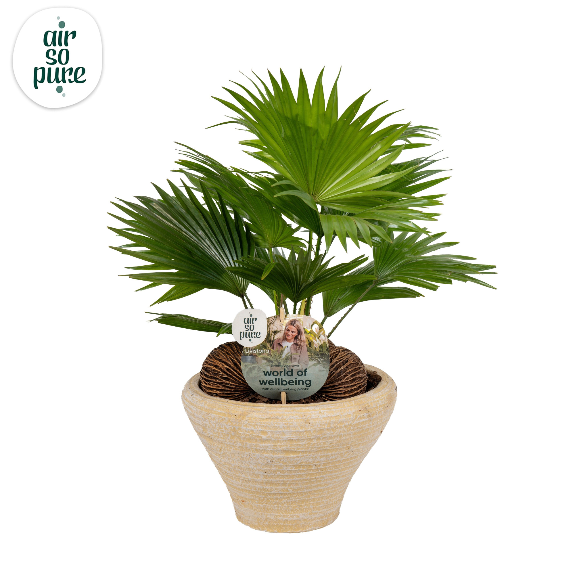 Livistona nr 6 hoedje creme Air So Pure Aspd, D 26 cm