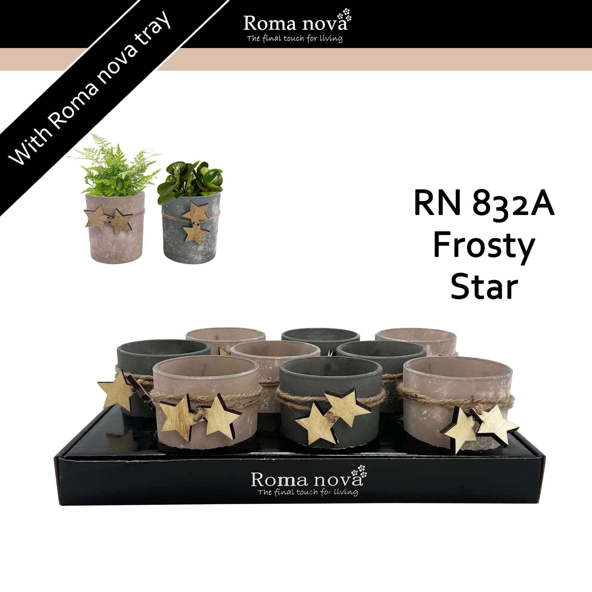 832A - Frosty Star (Hardware), D 9