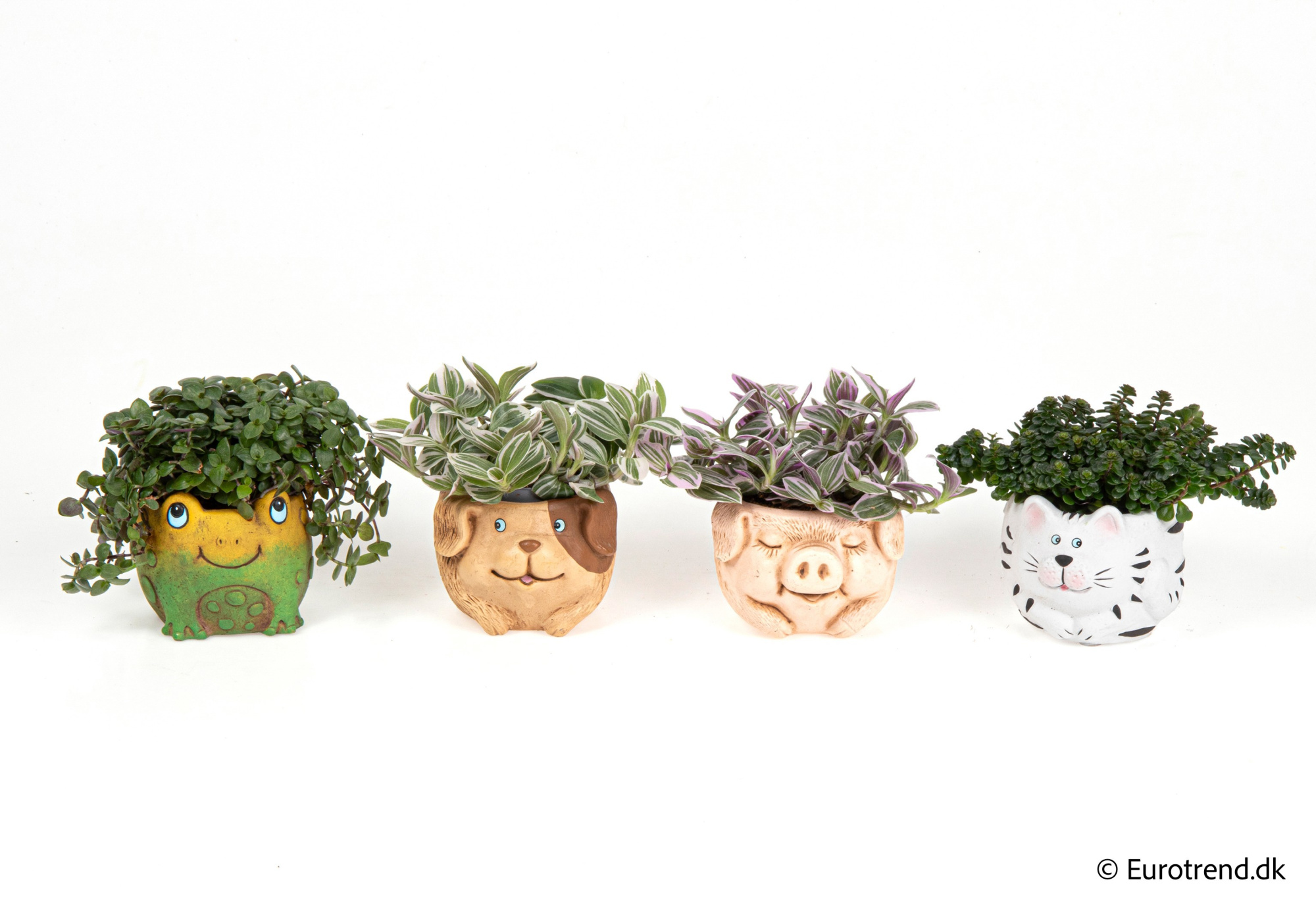 Green mix in Spring, Summer & Autumn ceramic 2026, D 6