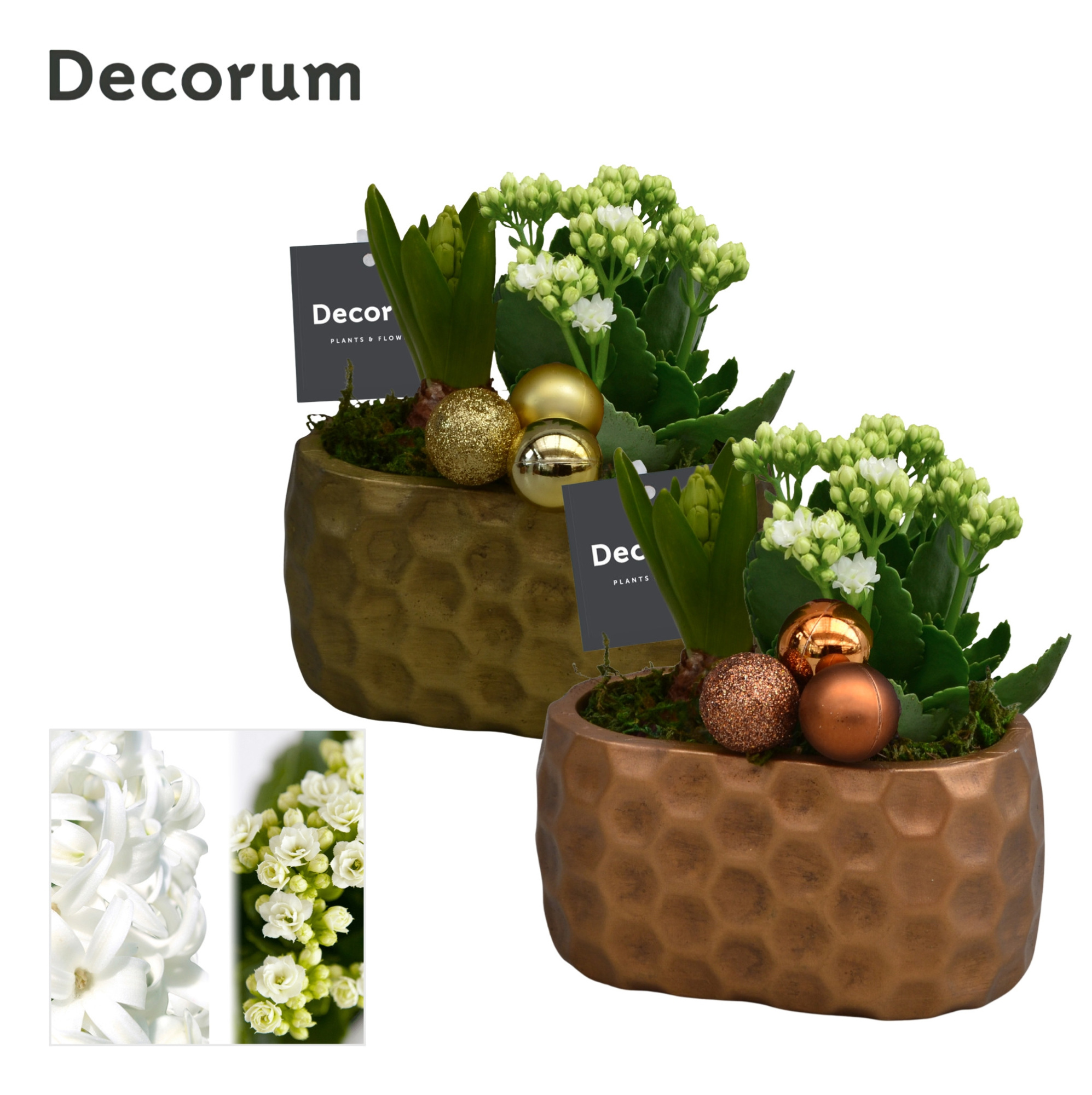 Calandiva & Hyacint Rava HL25332 [BLACK & WHITE], D 15