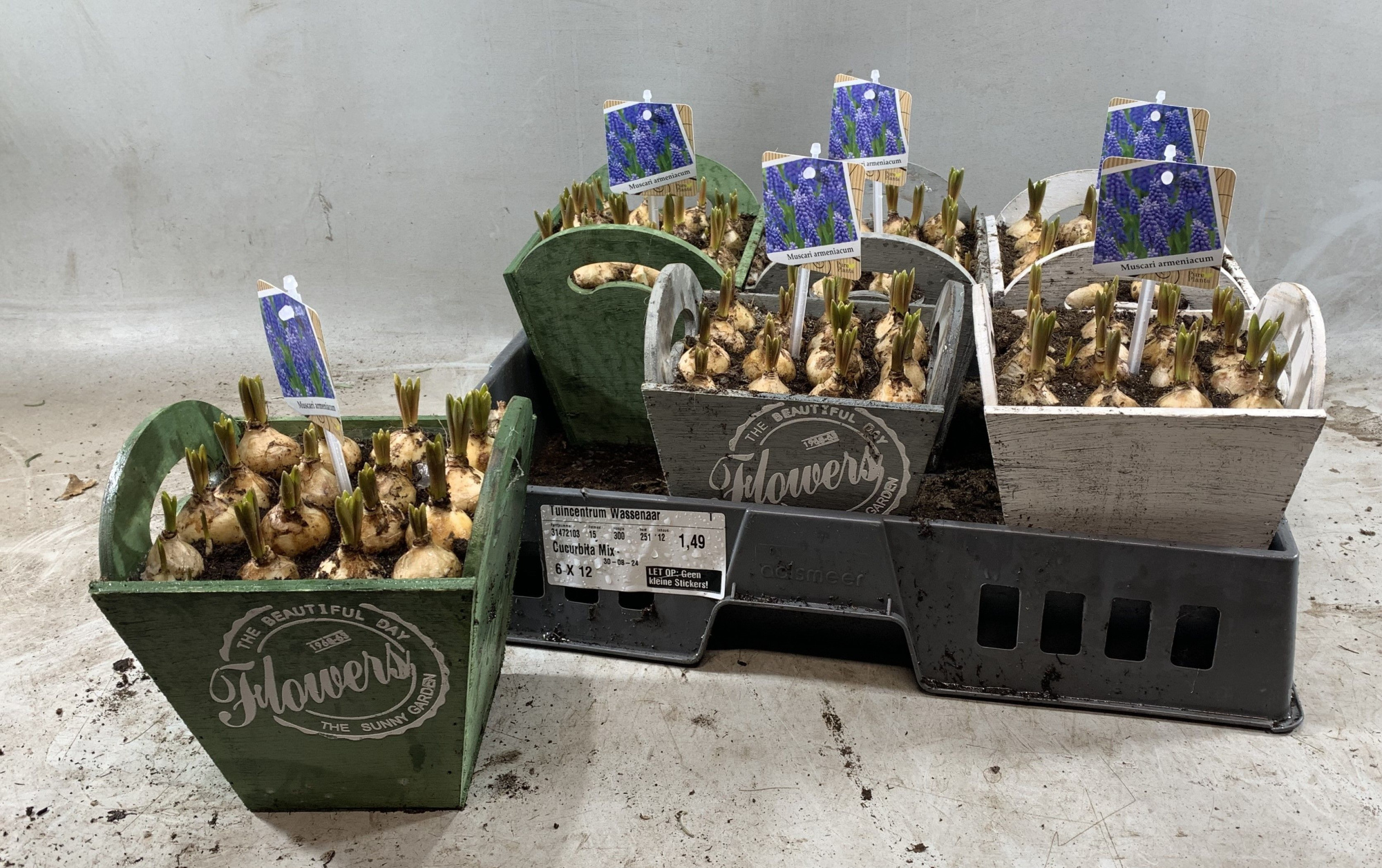 vierkant hoog in de mix flowers opdruk, D 16