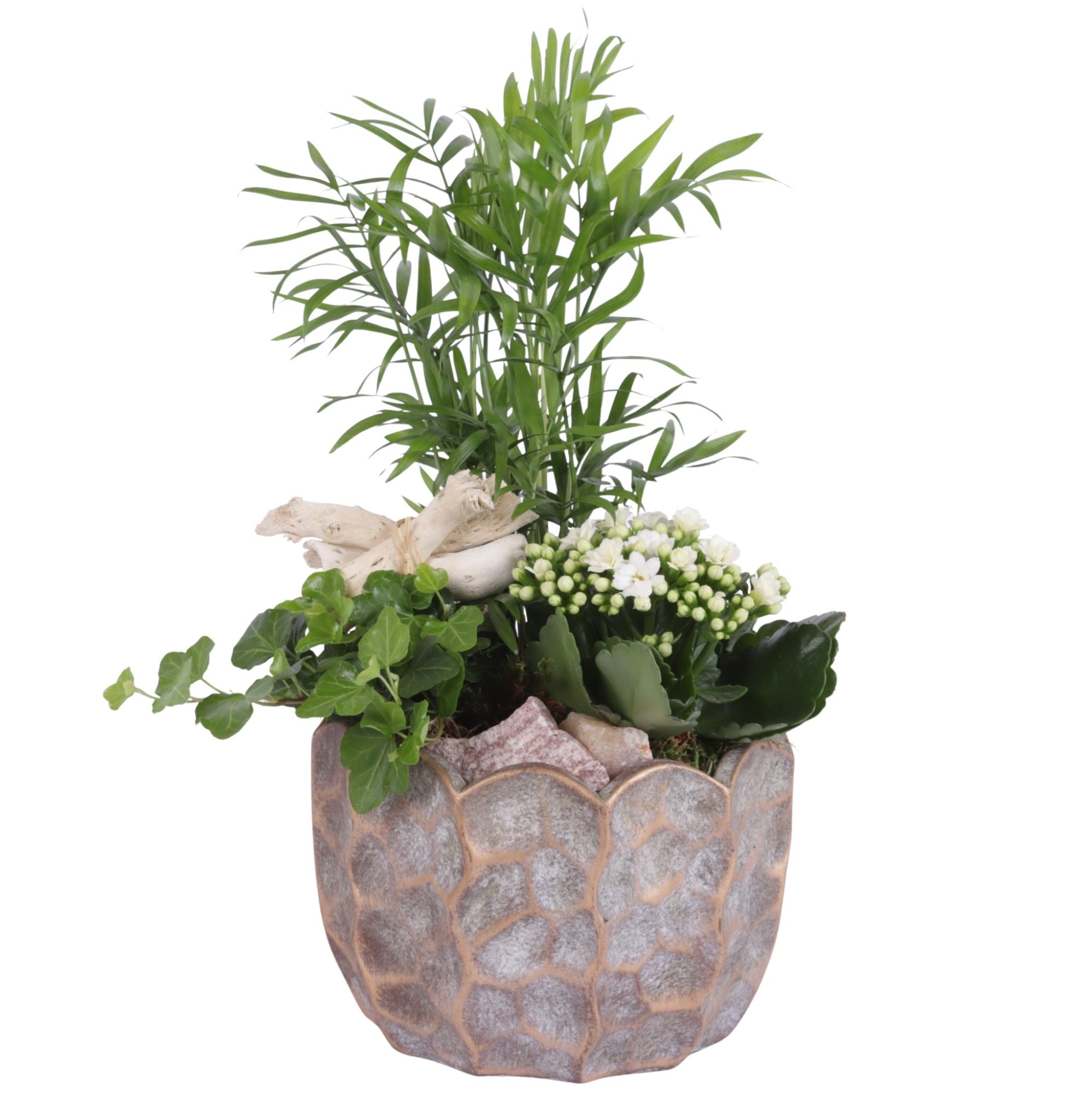 Yearround Arr. Indoor Ceramic Pure Luxury PL670 Ø18cm 3PP, D 18