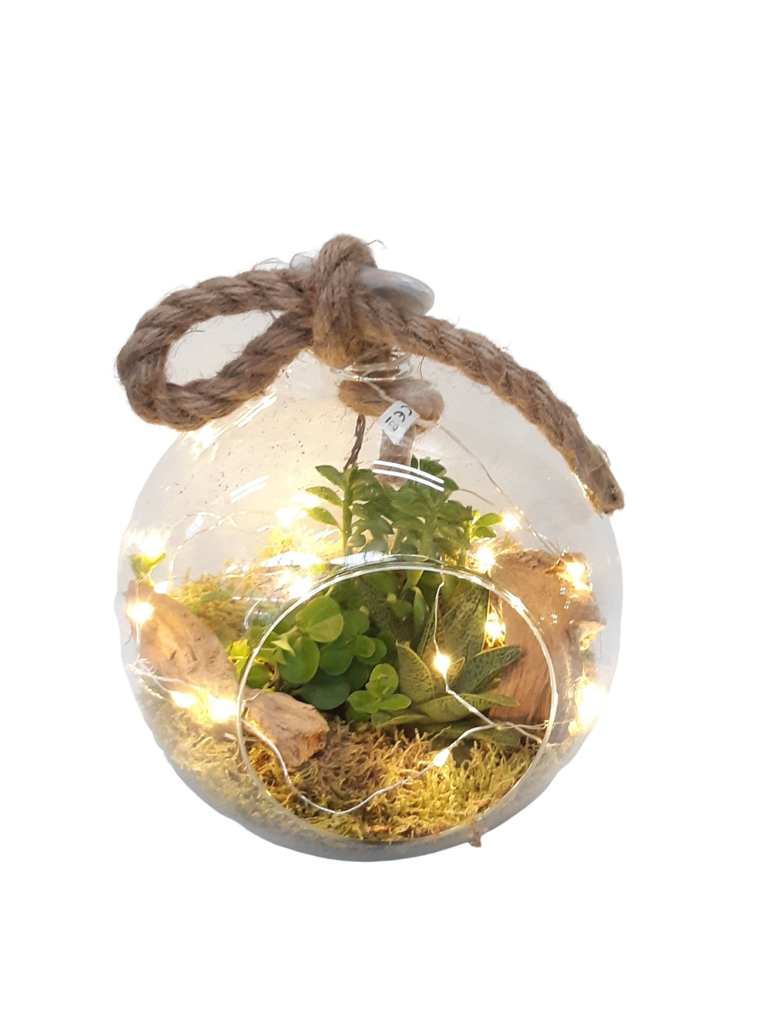 911LED Bolglas + hangtouw mini groenmix + LED lights and Battery, D 20 cm