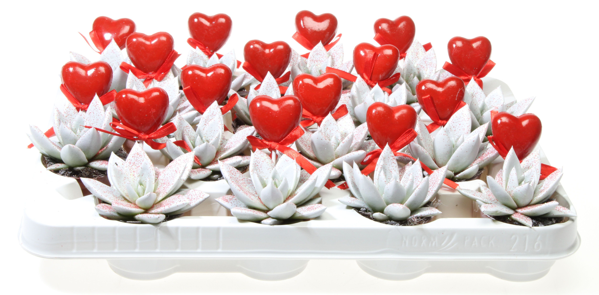 Miranda wit rode glitter + hartje, D 6