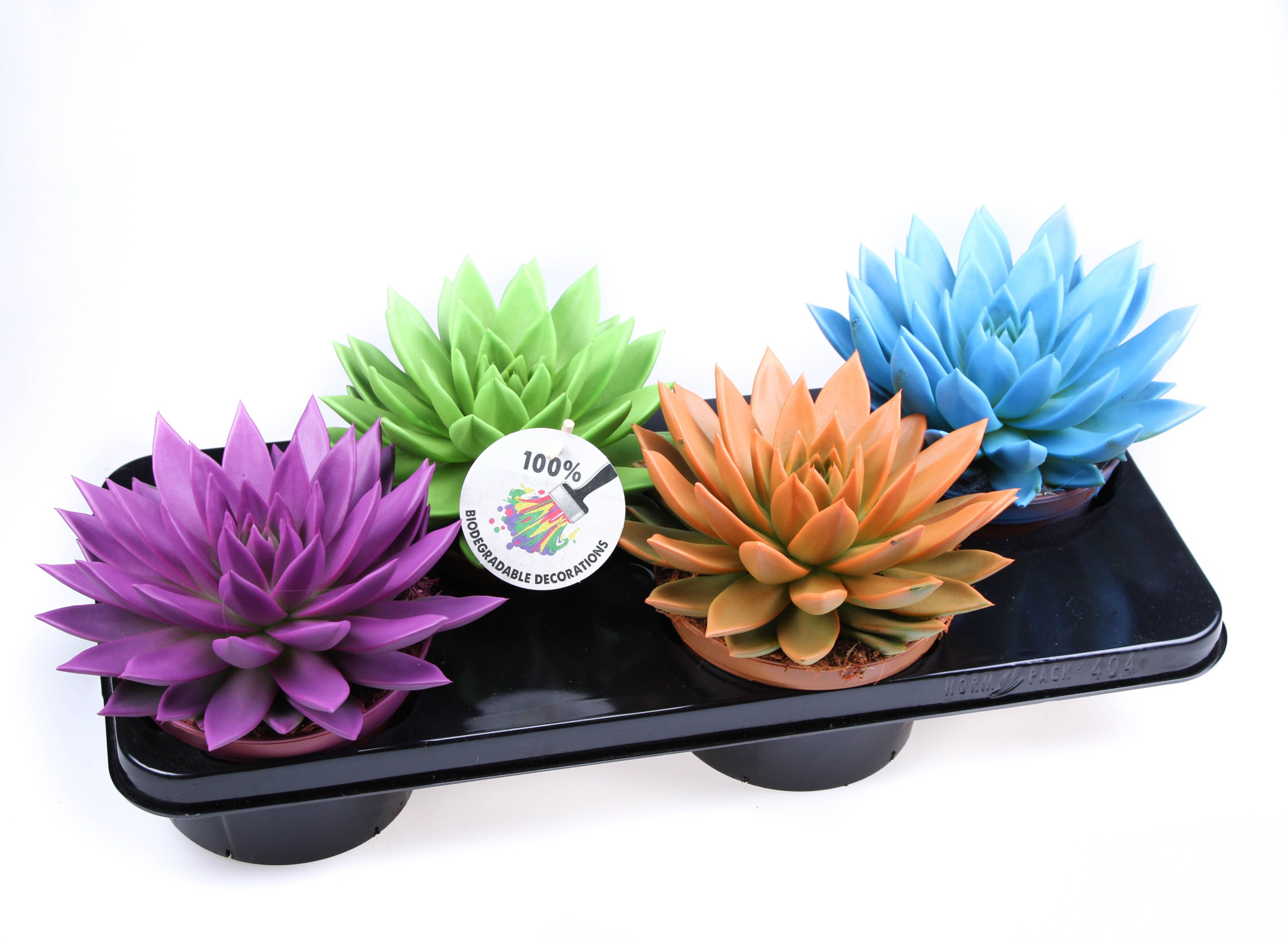 Rainbow mix, D 15 cm