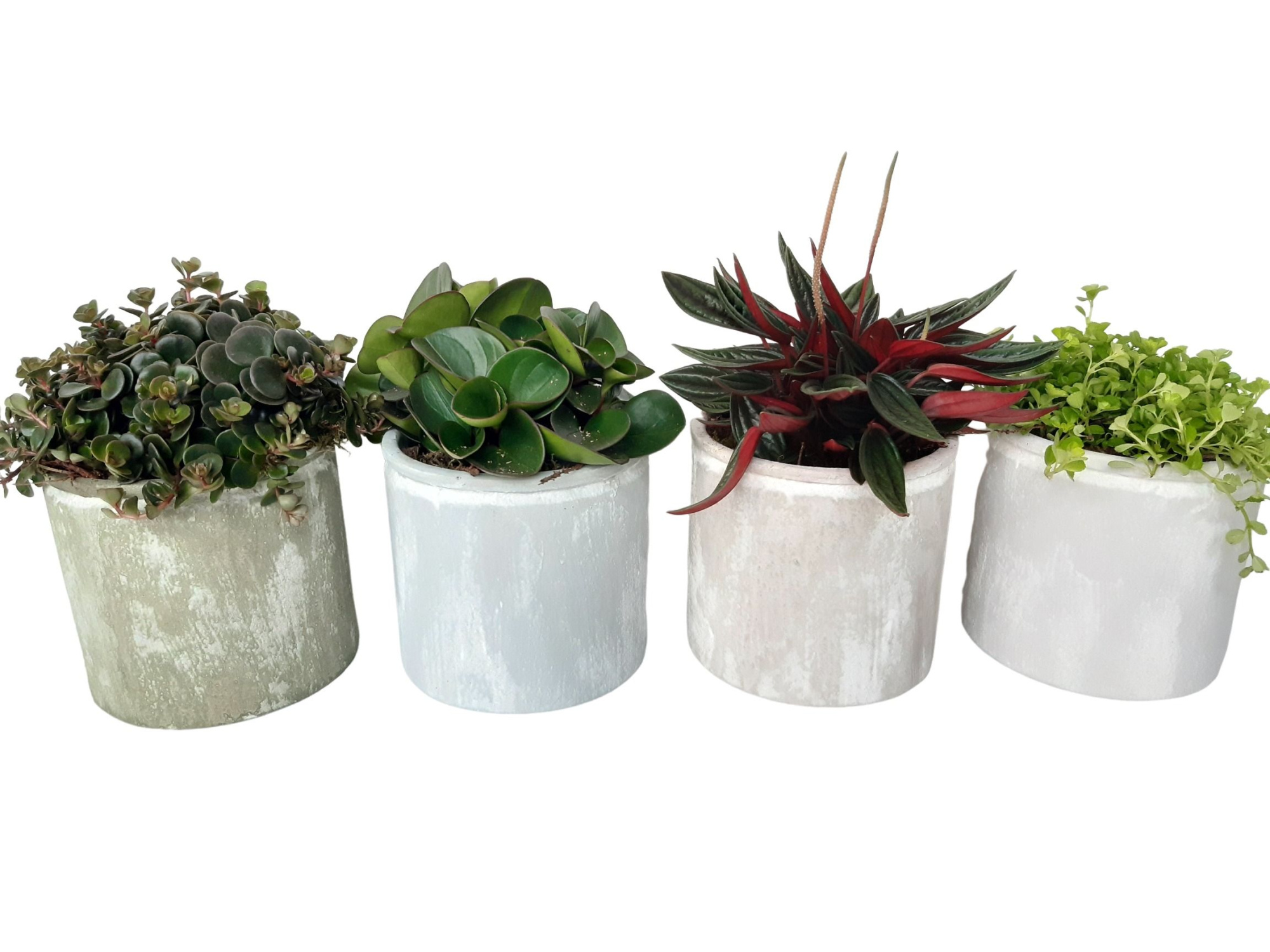 PP14GEM Planter Pot Keramiek 14cm Groenmix, D 14 cm