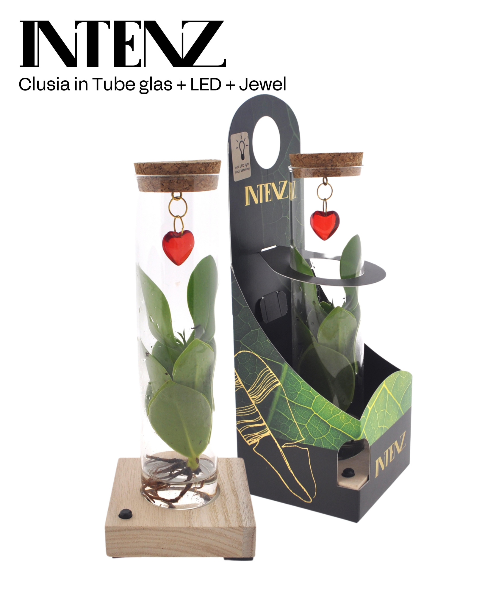 Mix in Tube glas + LED + verpakking + Jewel (hartje), D 7 cm