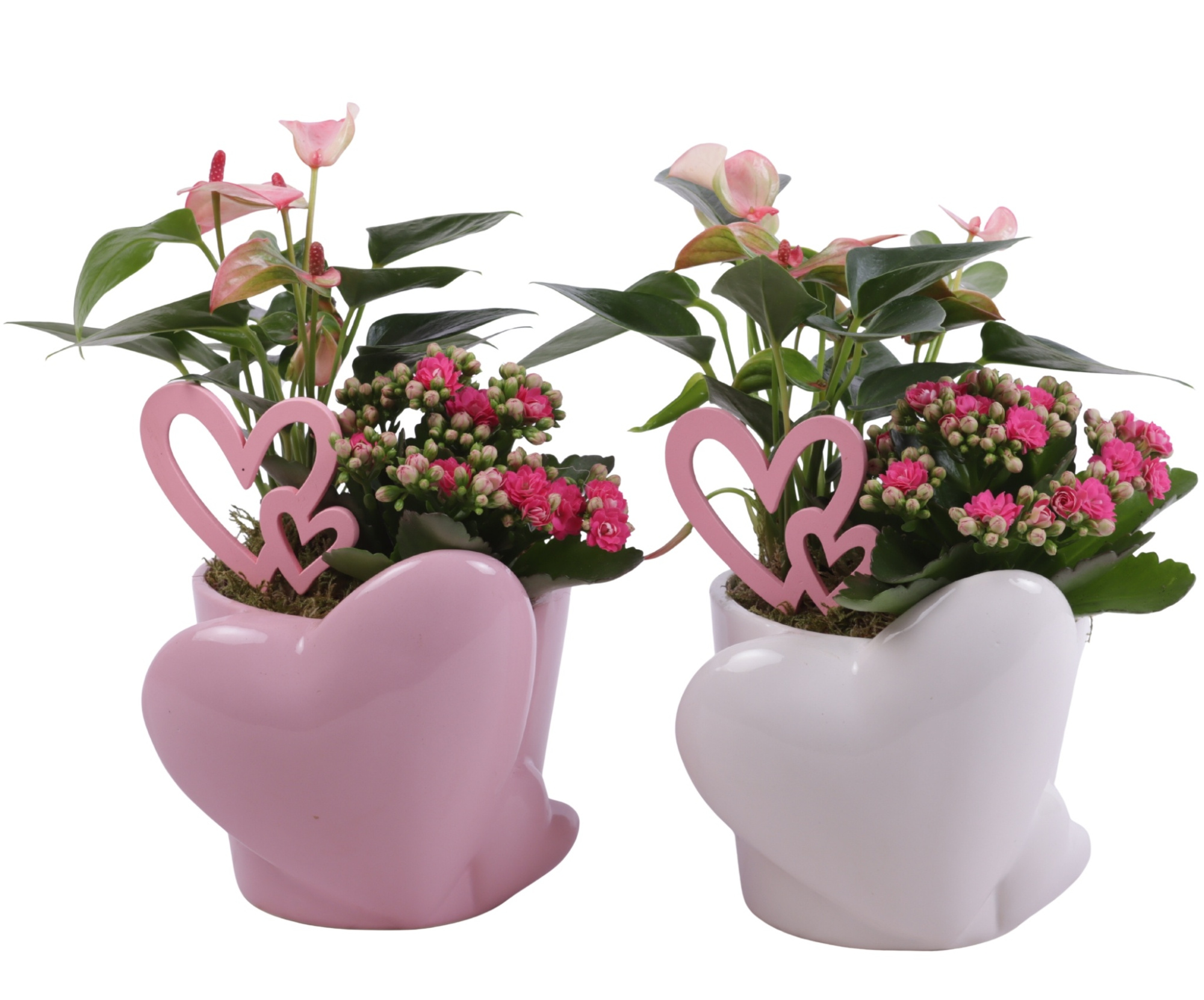 Mothersday Arr. Indoor Ceramic Heart Pot Pink/White Ø16cm 2PP, D 16