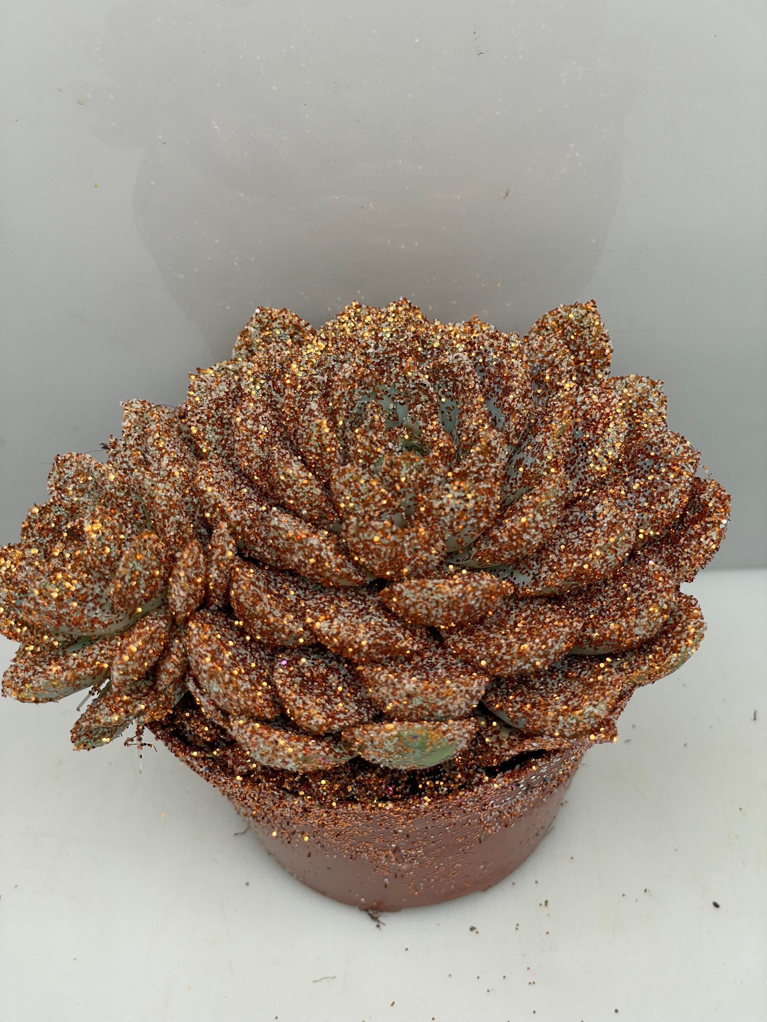 457 Kerstster BIO Twinkle glitter brons 8,5 cm, D 8,5 cm