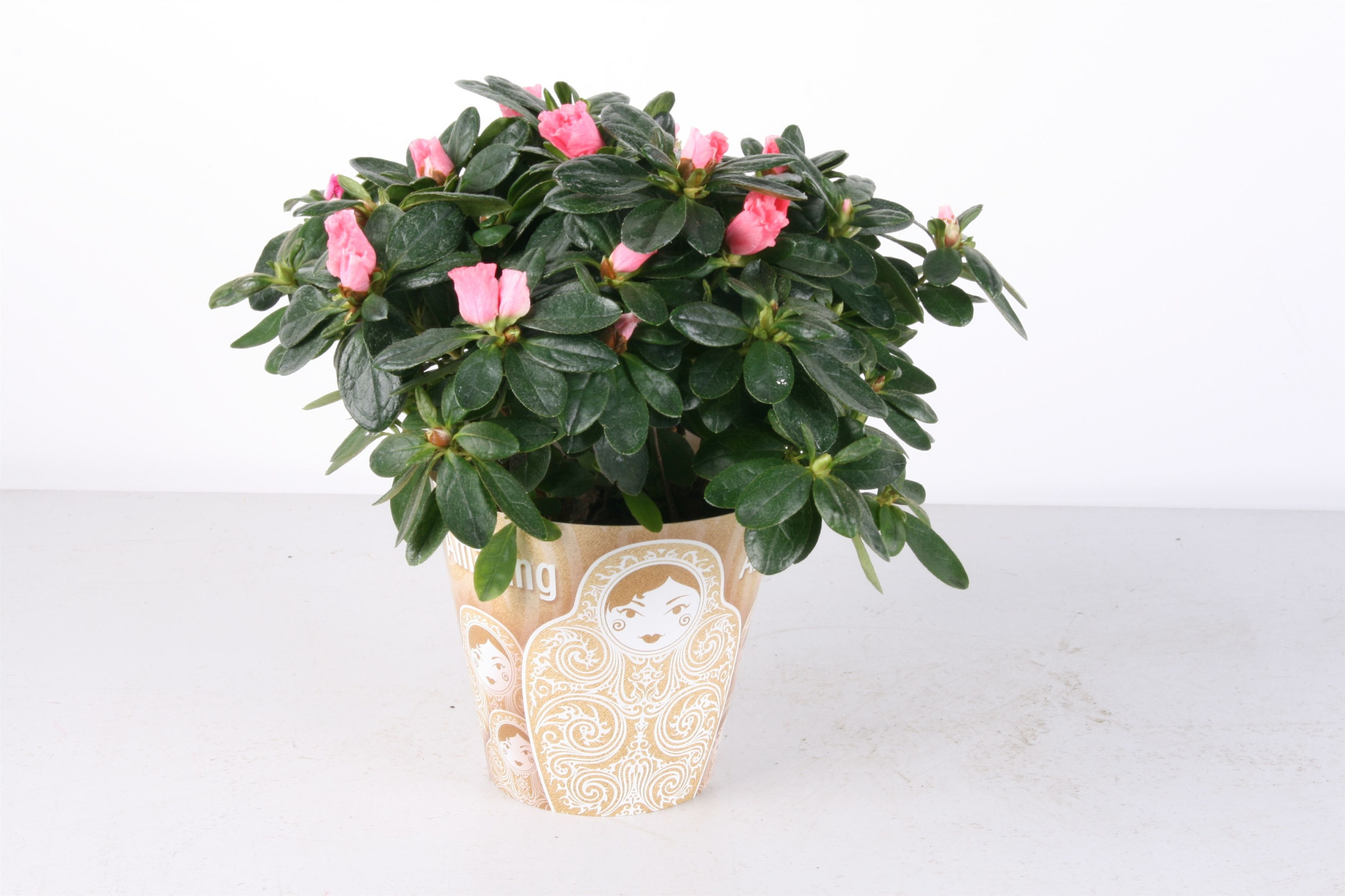 113 : Amazing Azalea p12 Russische moederdag Matroesjka gold  jaarrond Vrouwendag, D 12