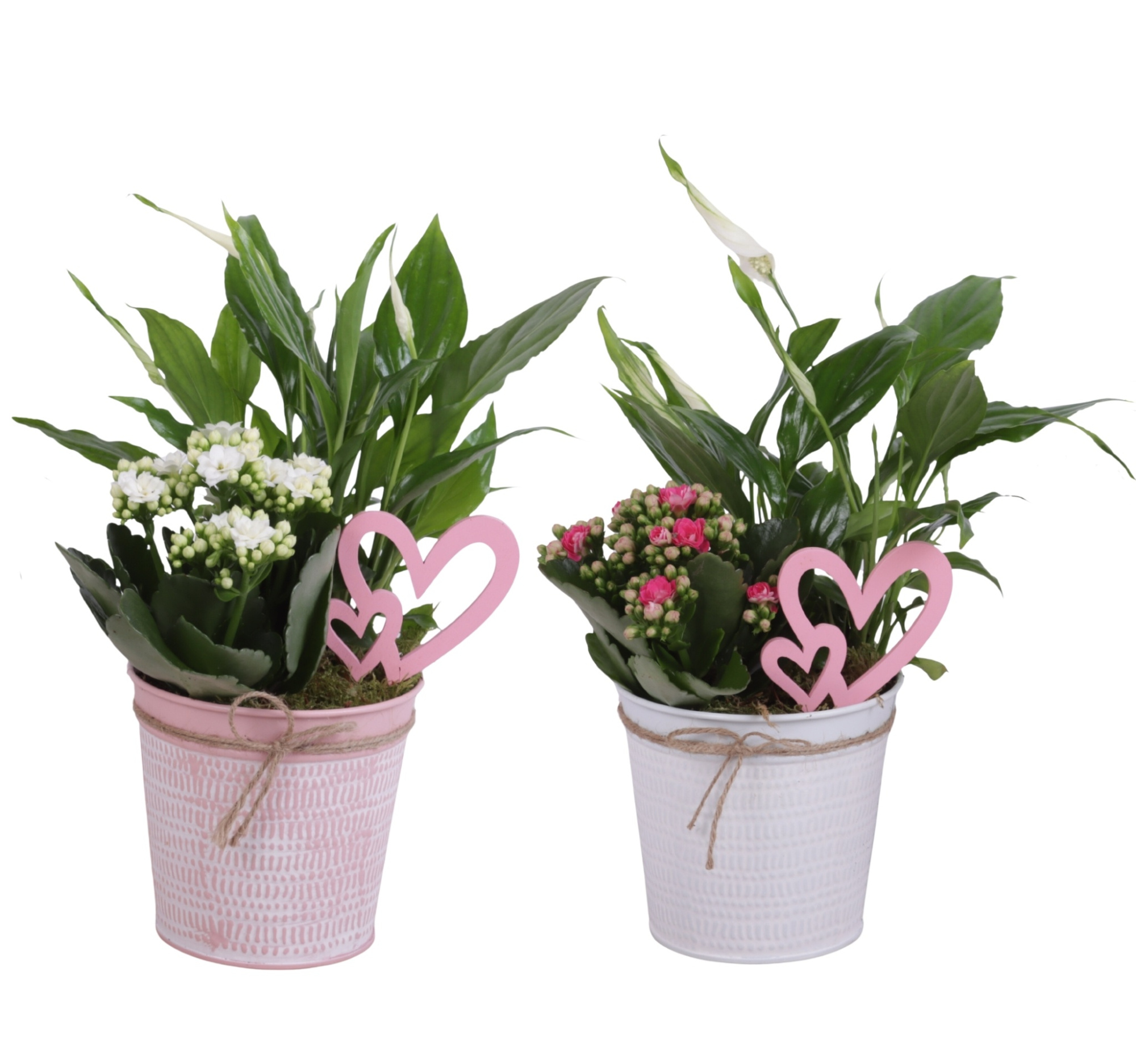 Mothersday Arr. Indoor Zinc Pot Round Pink/White Ø12cm 2PP, D 12