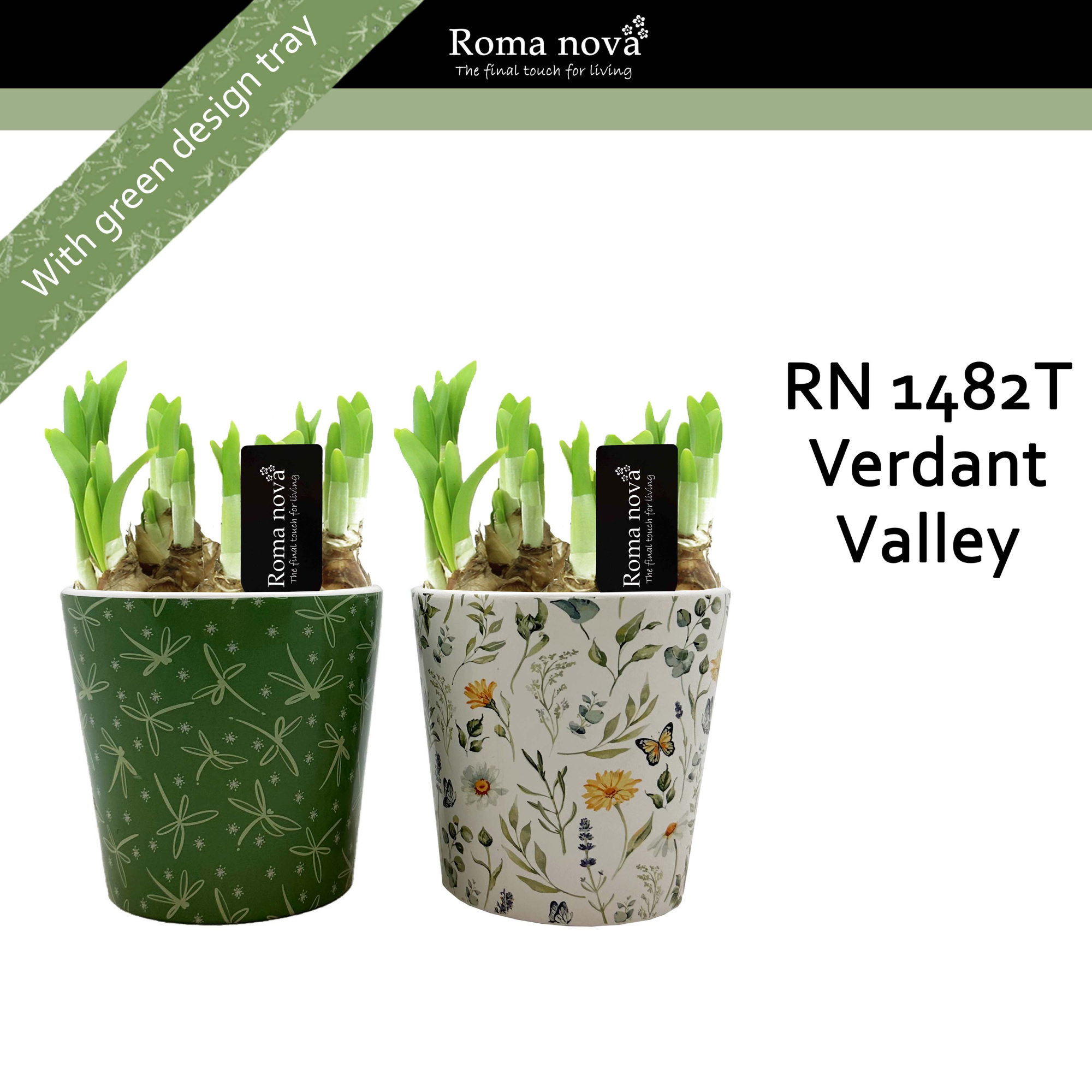 1482T - Verdant Valley (Tete a Tete), D 12