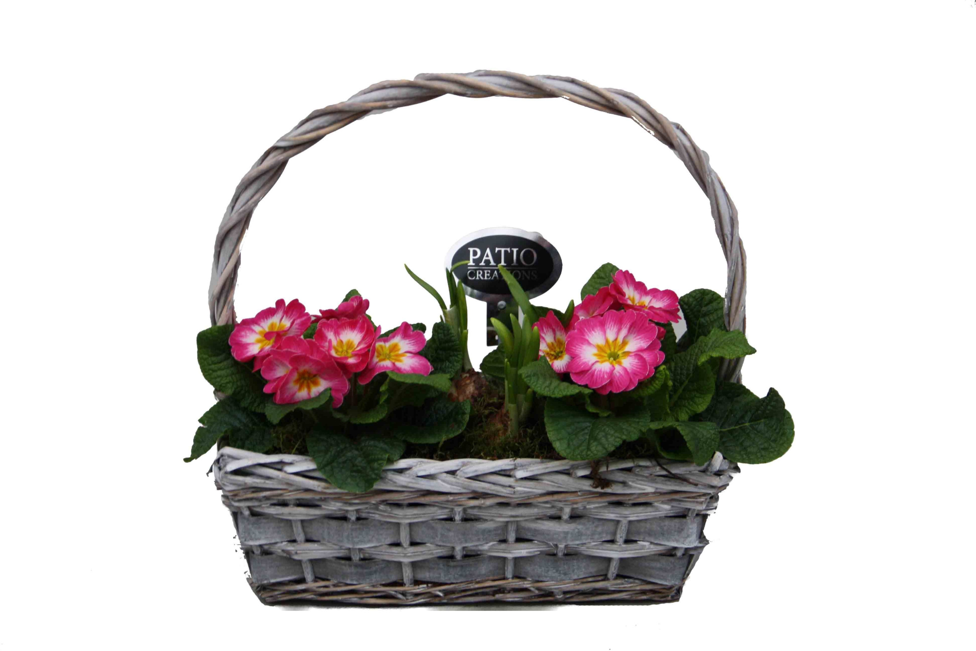 PRN573-9003 Primula/Narcis hengselmand rattan, D 32