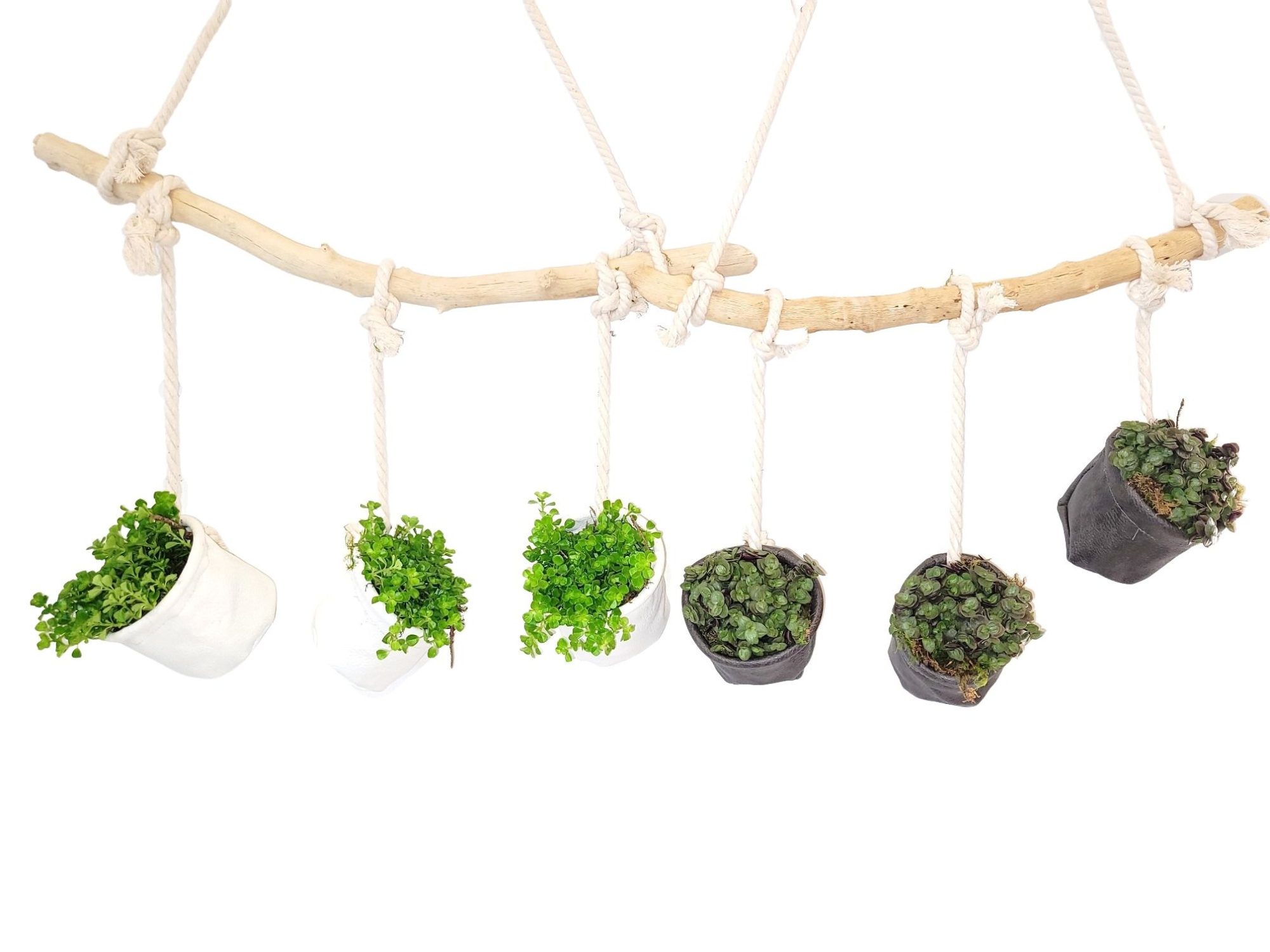 400 LBC Window Dressing Branch, 3x Leather bag, Cotton rope, D 50 cm