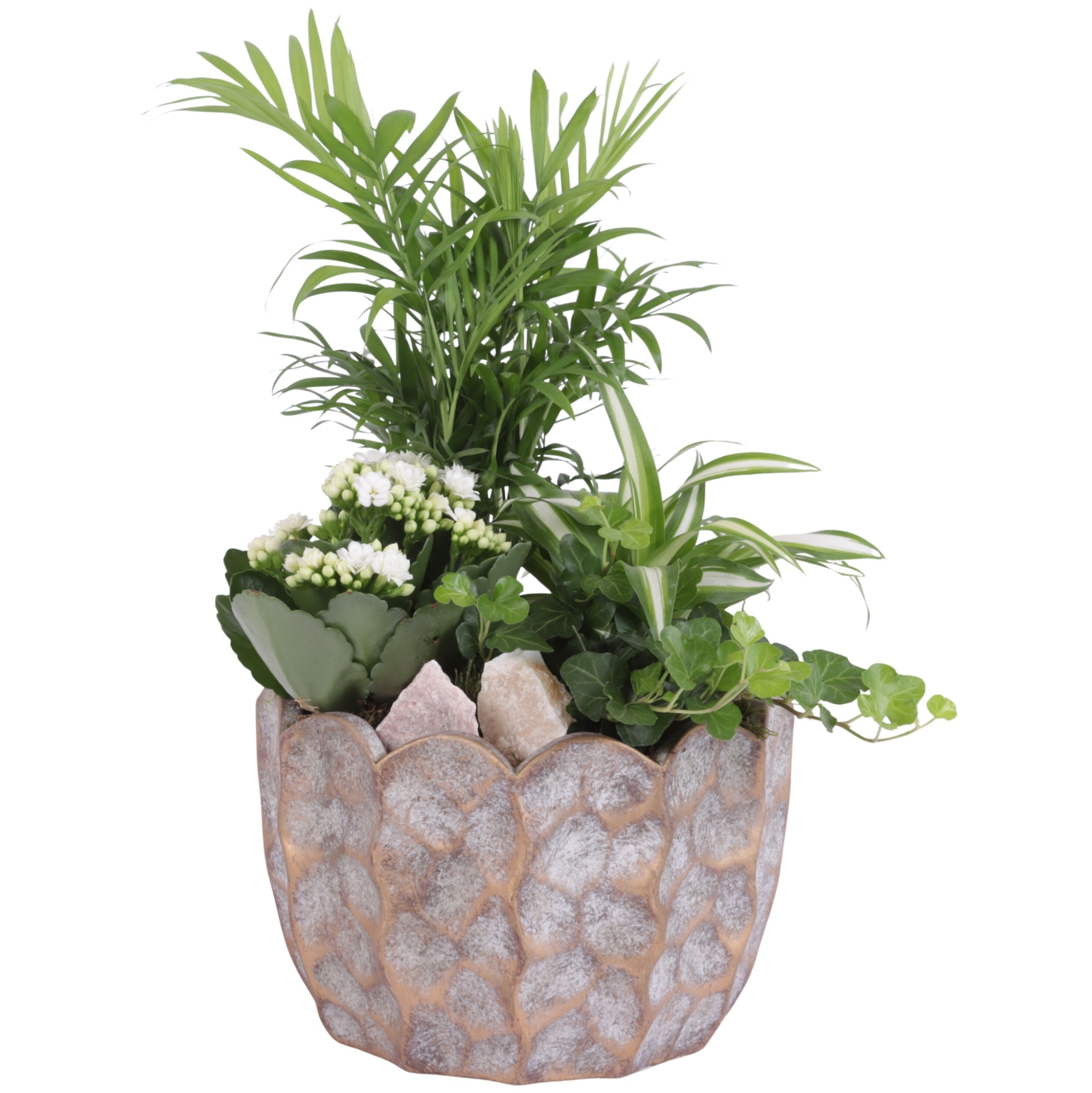 Yearround Arr. Indoor Ceramic Pure Luxury PL670 Ø21cm 4PP, D 21