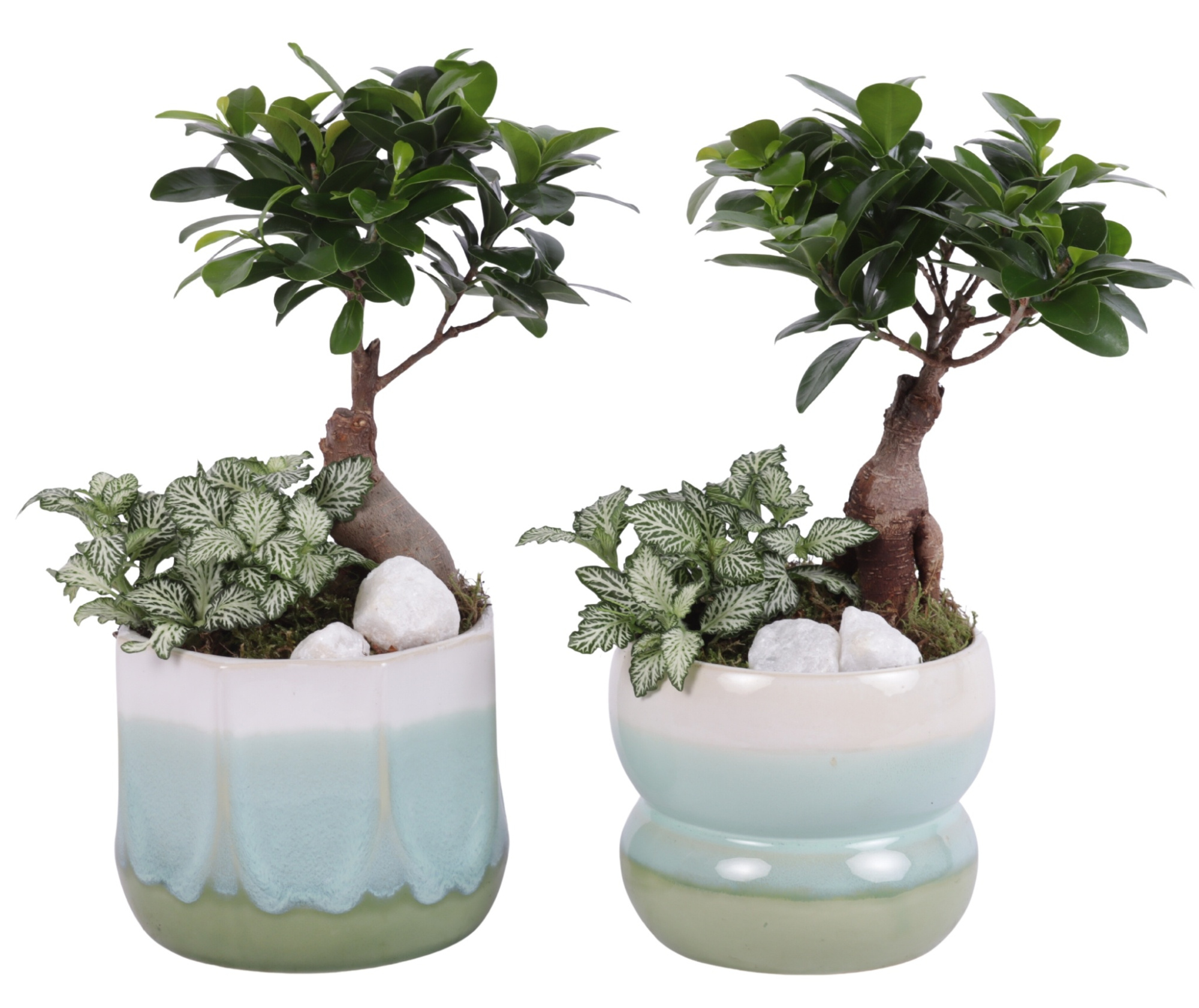 Yearround Arr. Indoor Ceramic Fresh Breeze FB675 Ø15cm 2PP, D 15