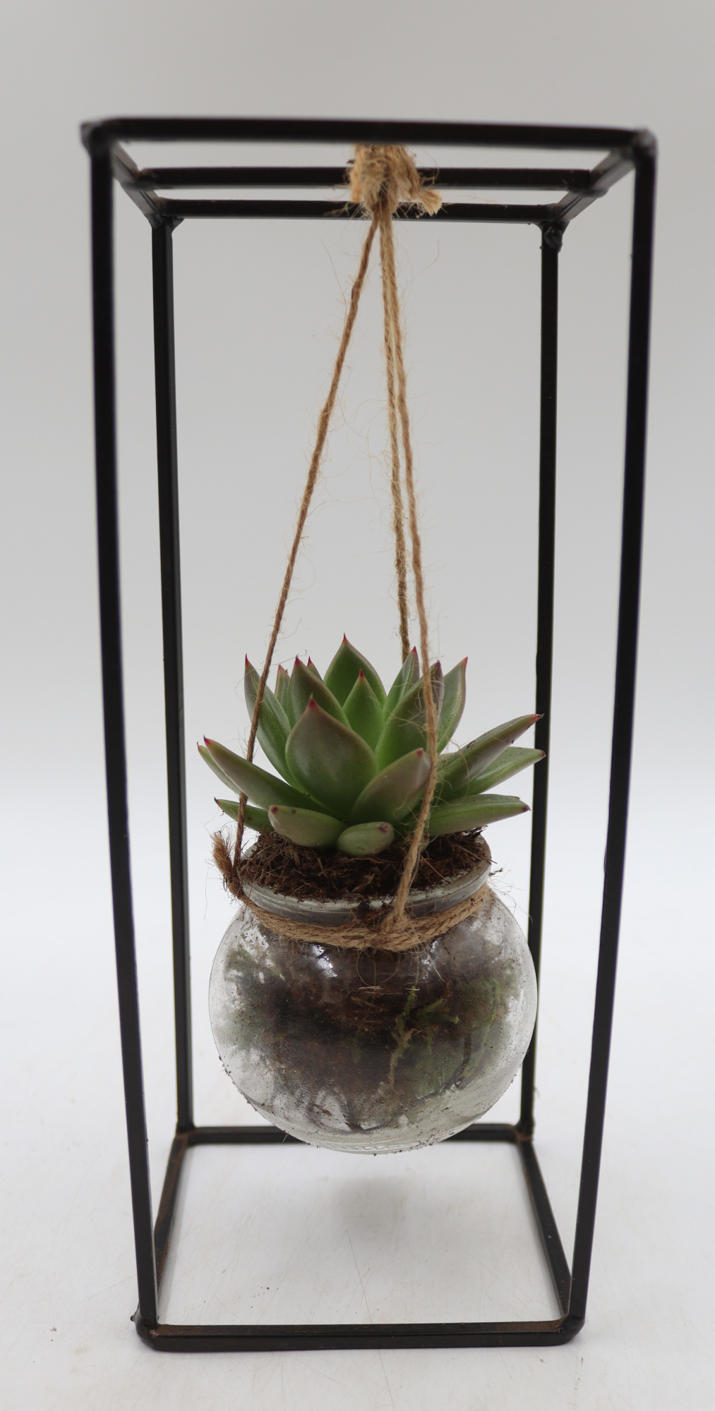 Rek Zwart single, D 10