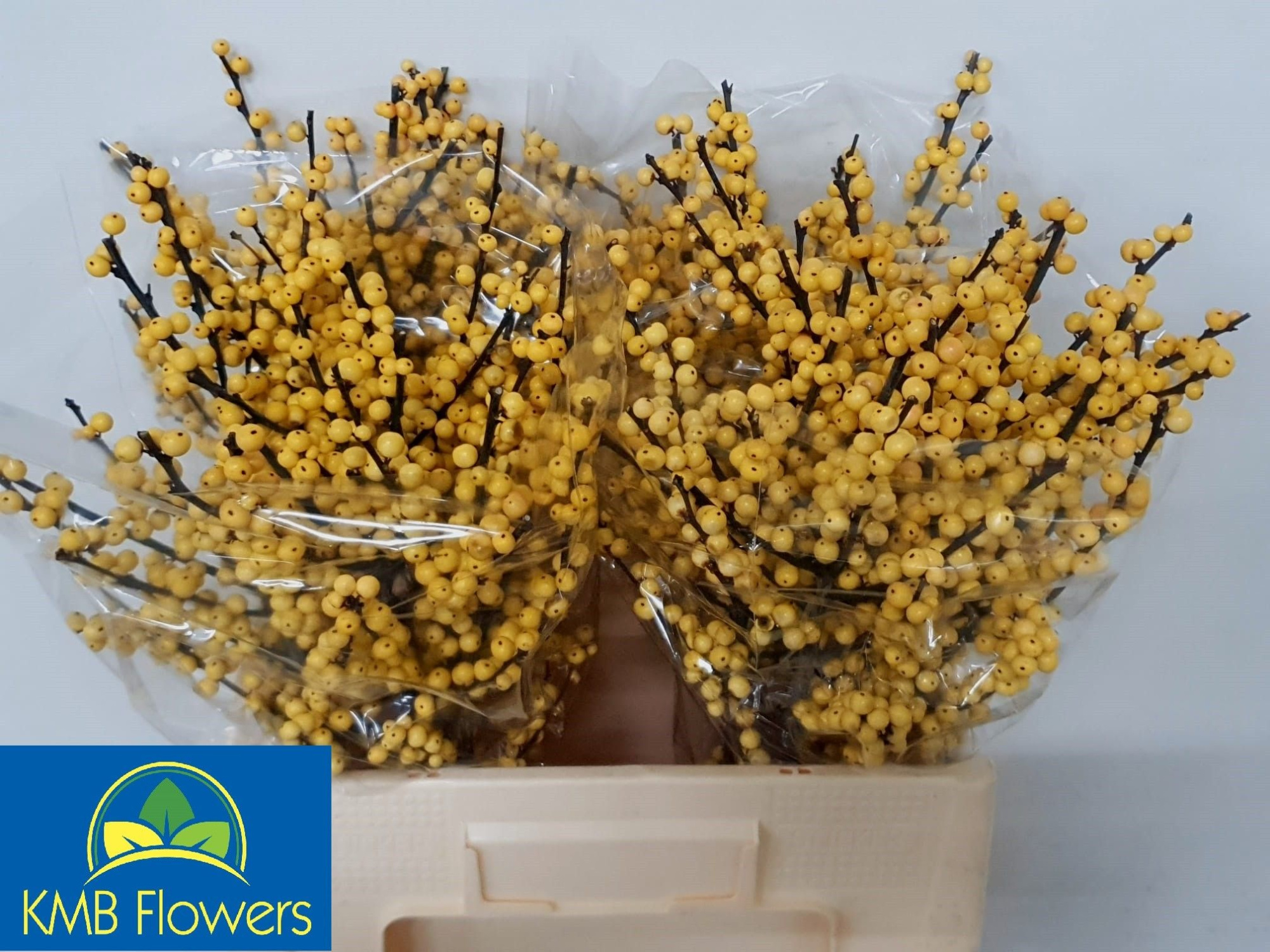 Илекс Мэджикал Цитронелла 60, шт.