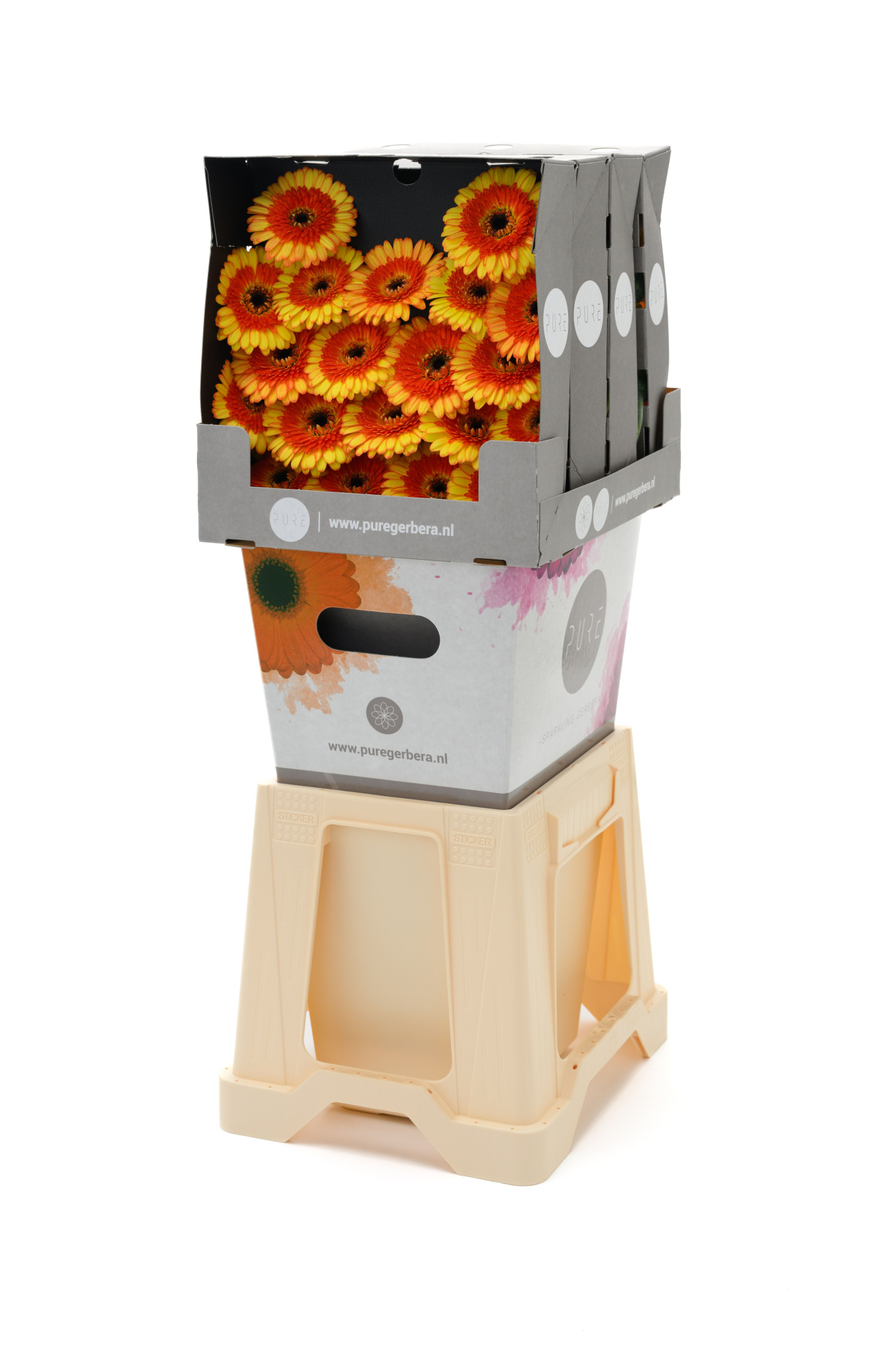 Гермини Дэкора, шт.