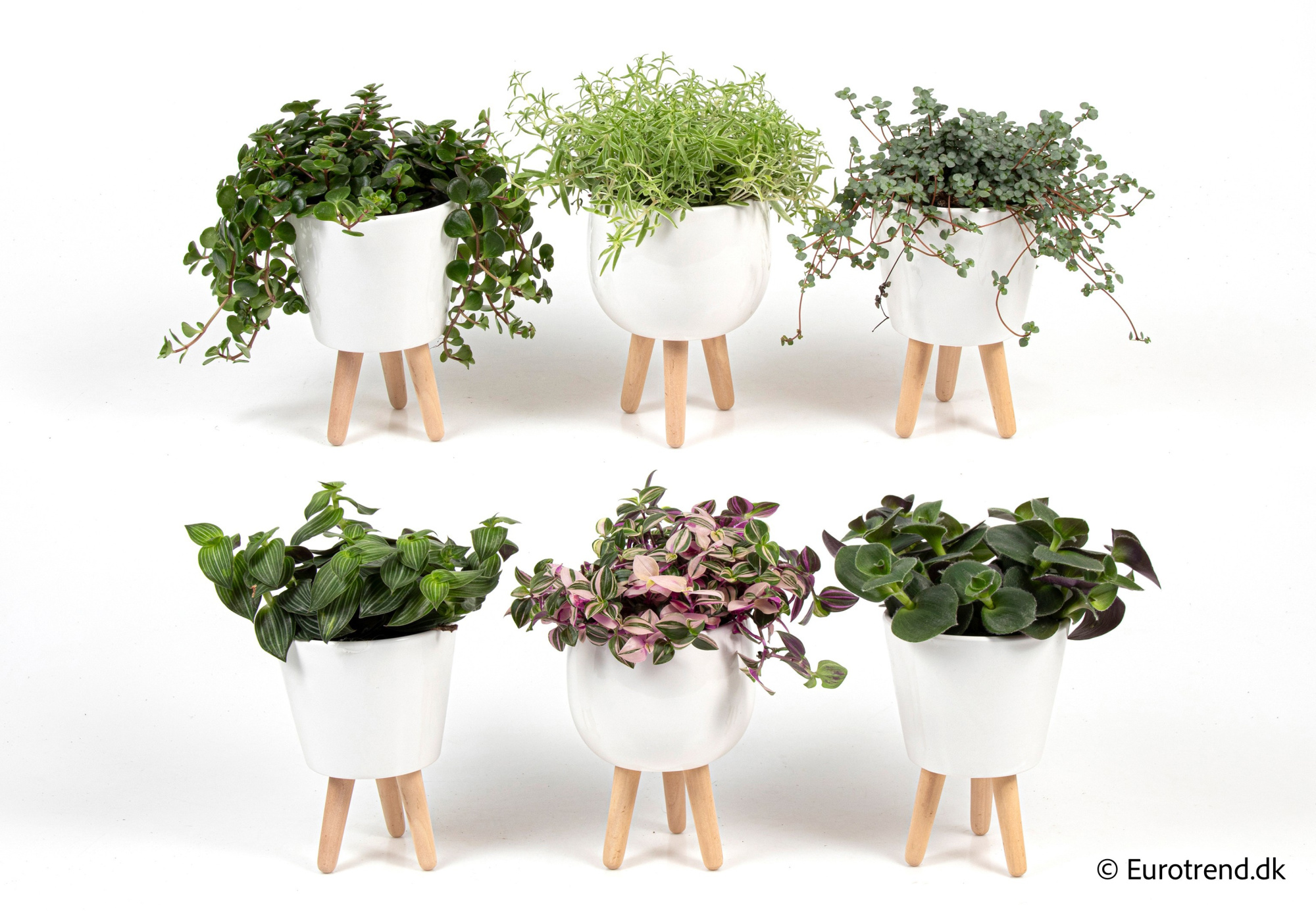 Green mix in New Look ceramic 2026, D 11