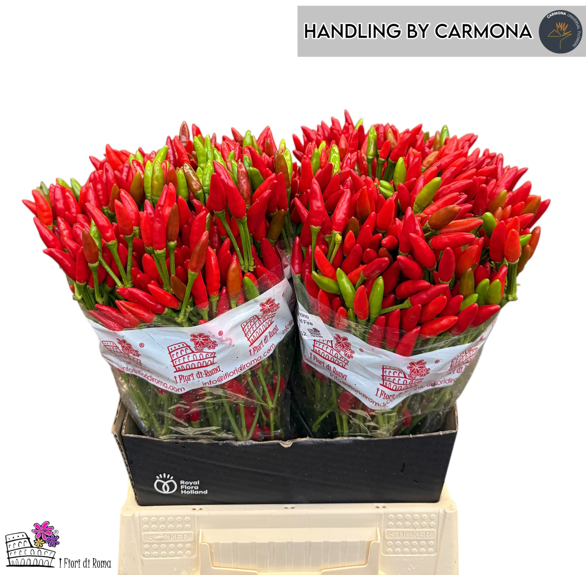 Капсикум Рэд Фае 50, шт.