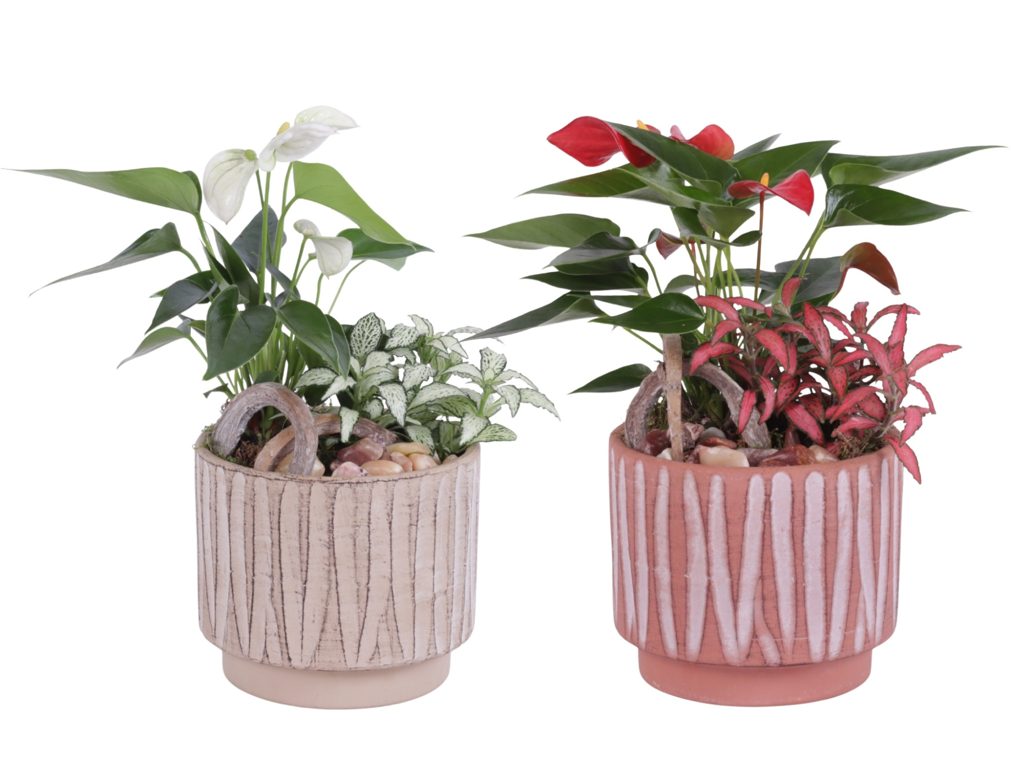 Yearround Arr. Indoor Ceramic Naturel Touch NT667 Ø14cm 2PP, D 14