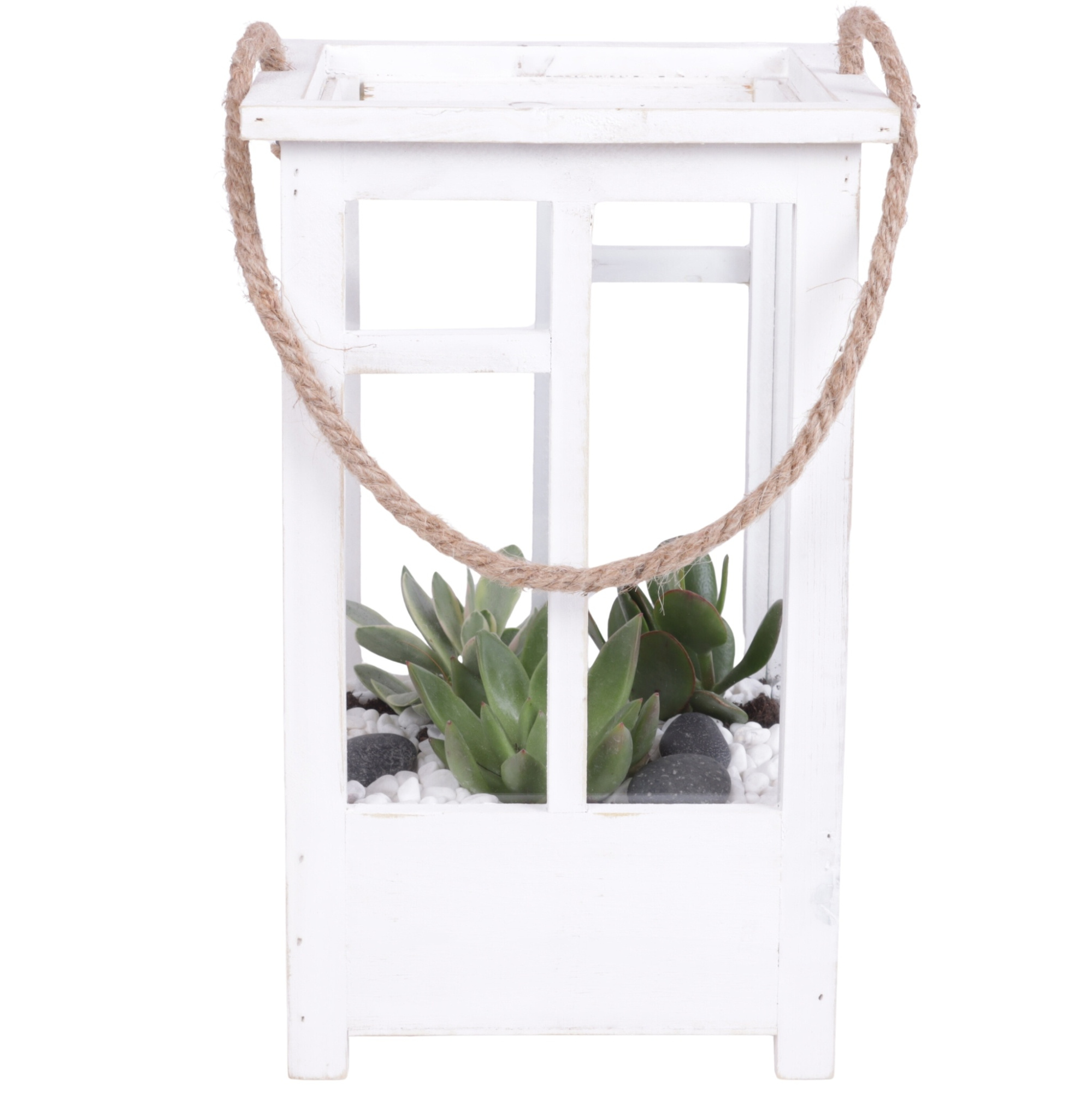 Yearround Arr. Succulent Wooden Lantern pot White mix/3 Ø19cm 2P, D 19 cm