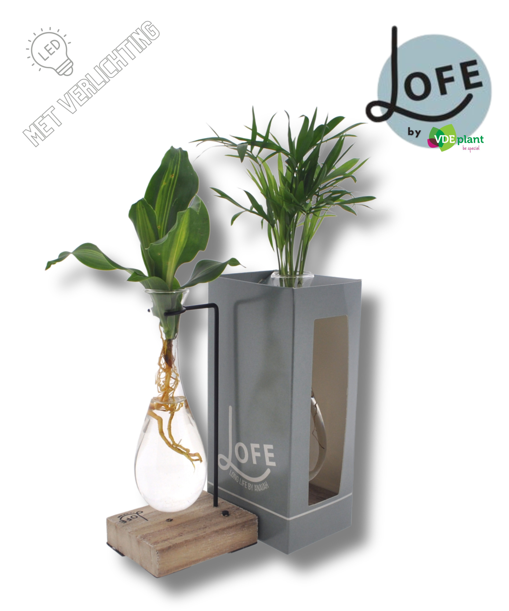 LOFE |Intenz mix in Hang glas hout+VER-levertijd: 24 uur, D 12