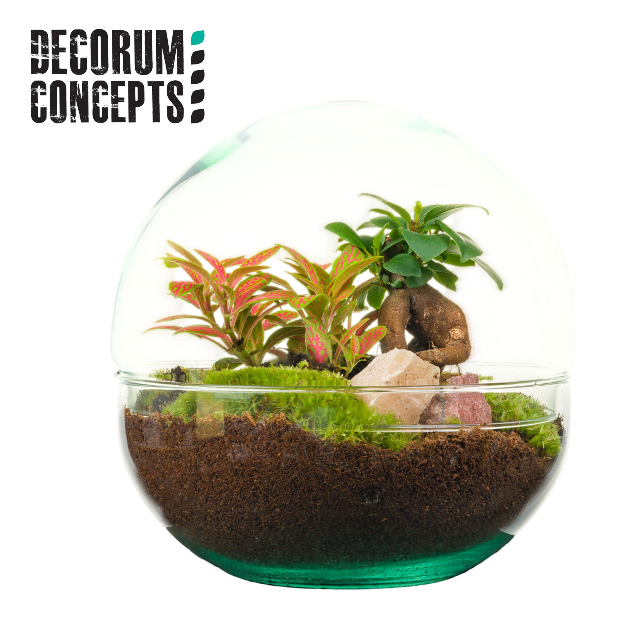 Terrarium Earth medium (Decorum concepts), D 20 cm