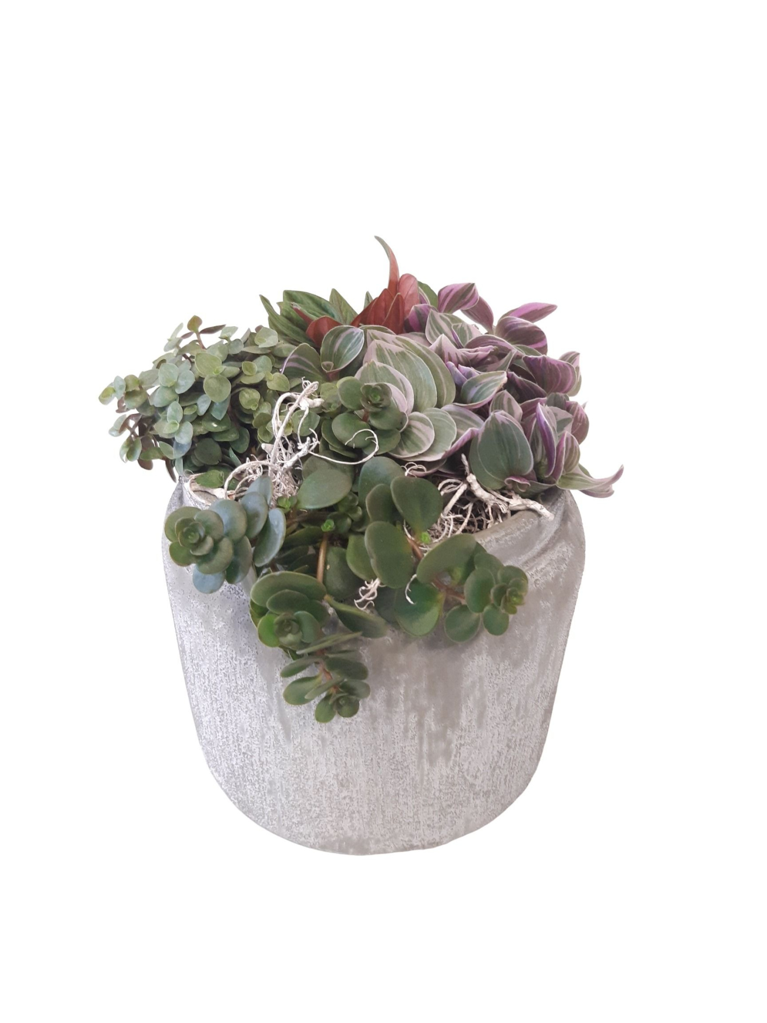 RGP16WGMX Rude Grey Pot Mini groenmix, D 16 cm
