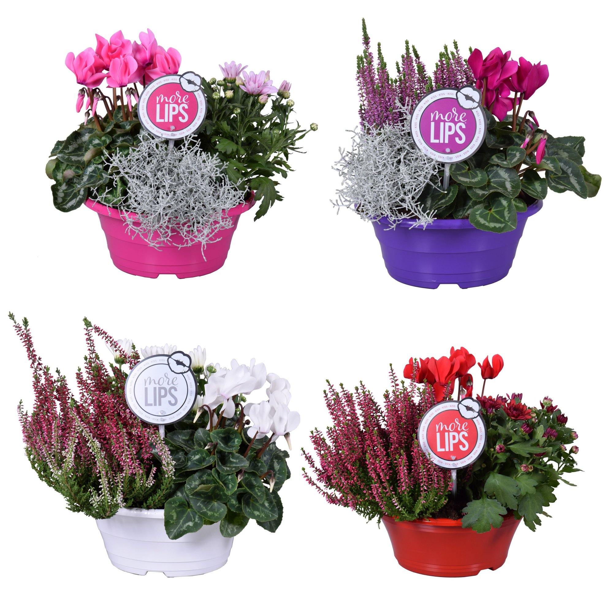 MoreLIPS® Autumn trio in schaal 'Falls', D 23 cm