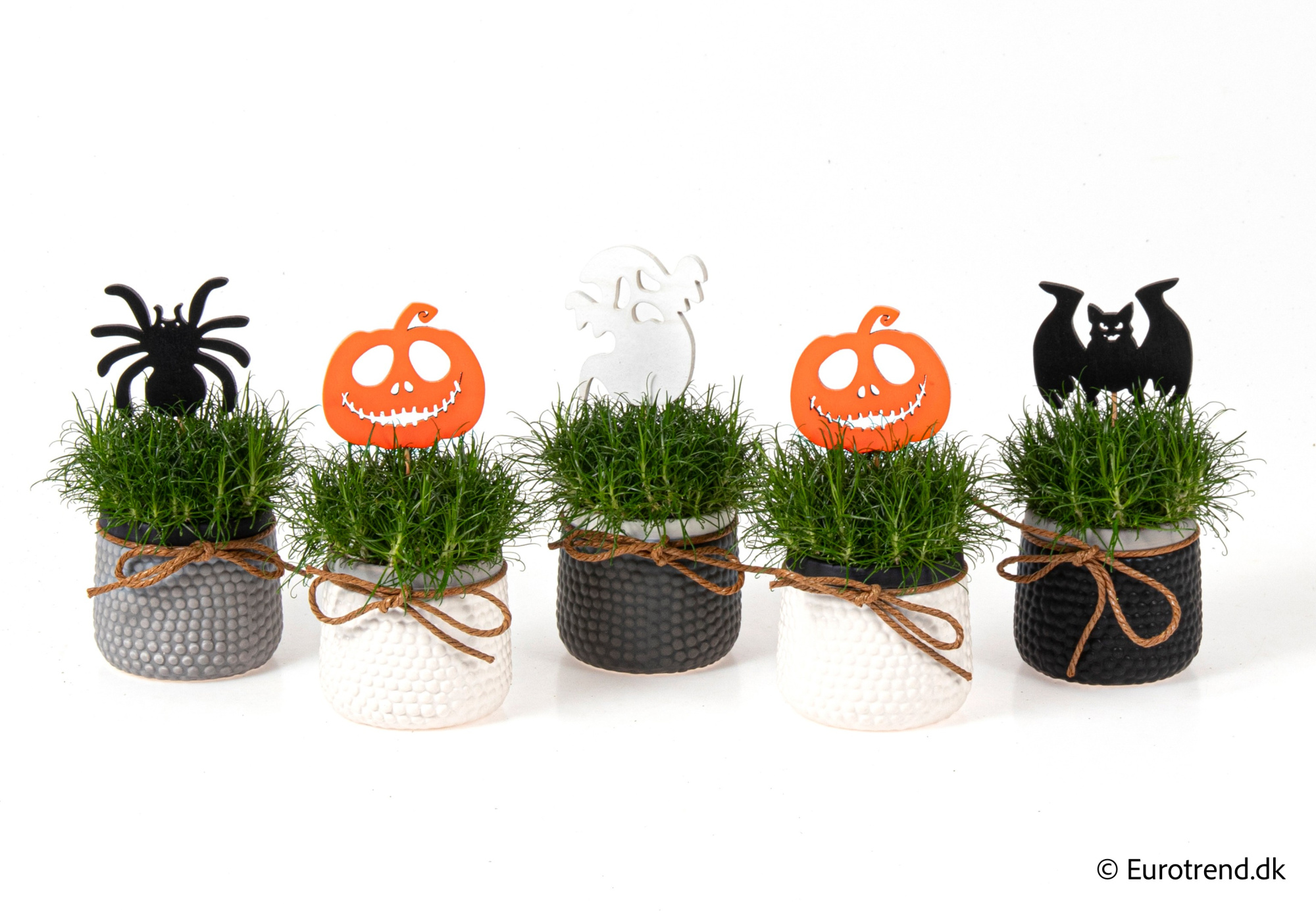 Sagina in Halloween ceramic 2025, D 6 cm