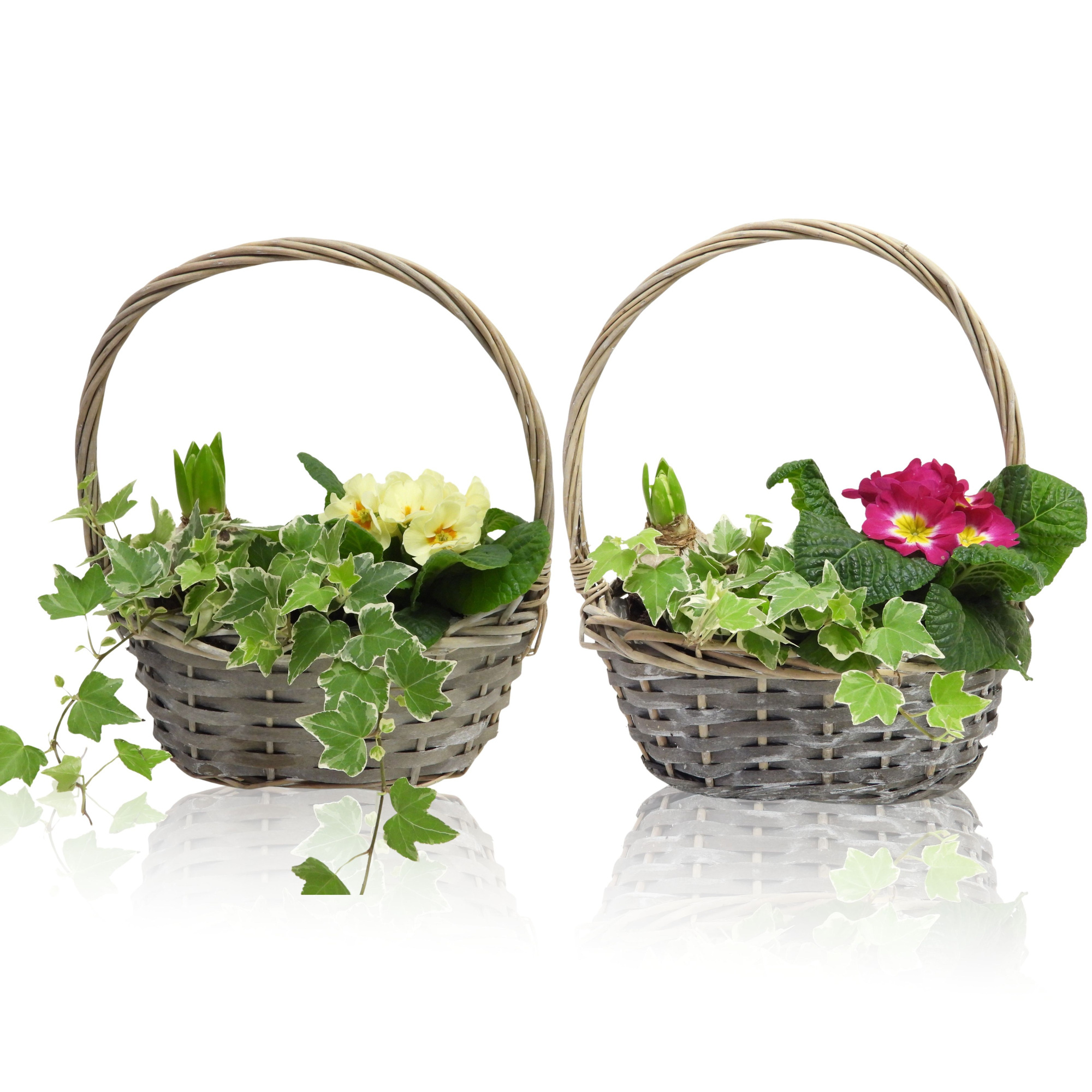 Arrangement Early Spring Specials Hyacint in Mand Met Hengsel 20 cm, D 20