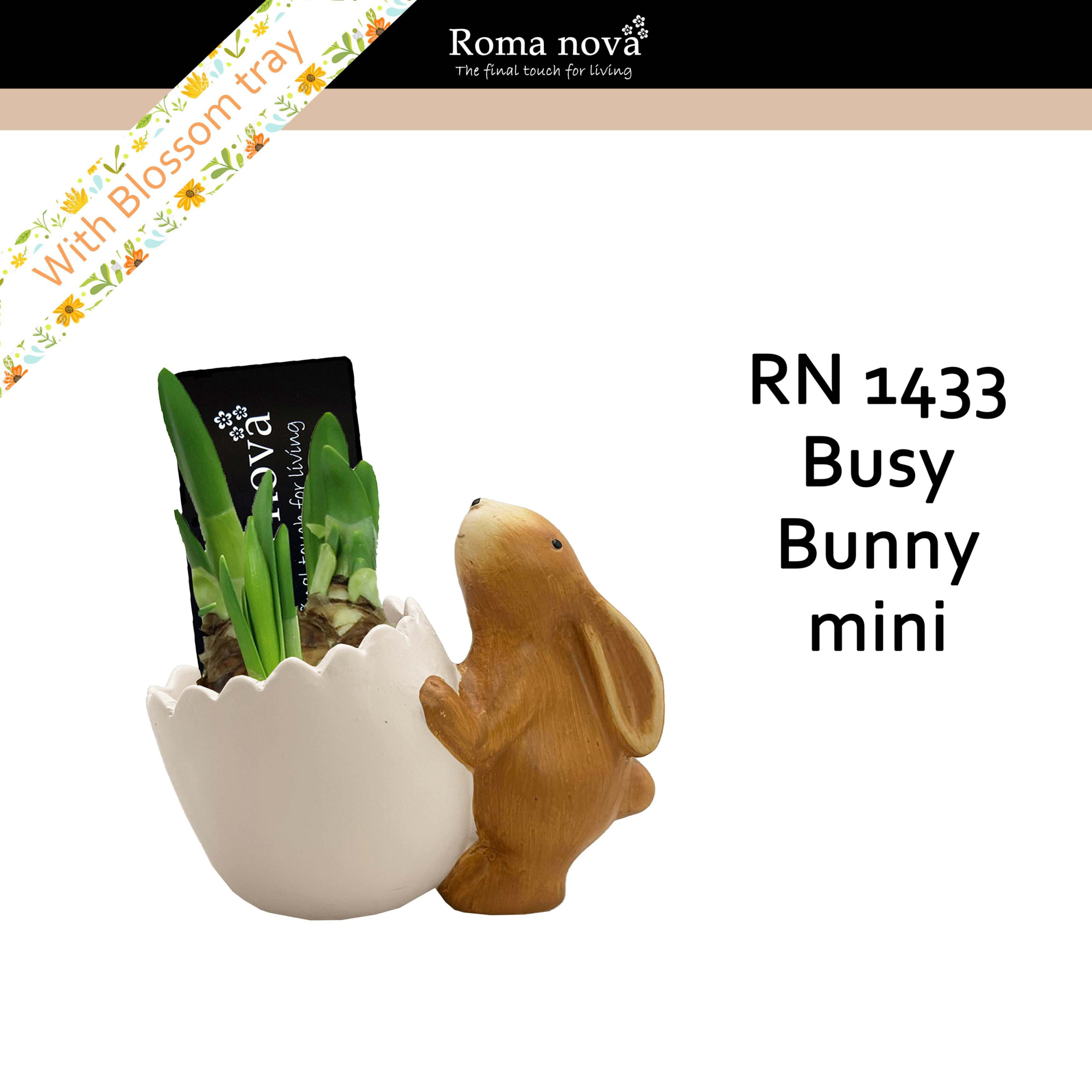 1433 - Busy Bunny mini (Tete a Tete), D 13