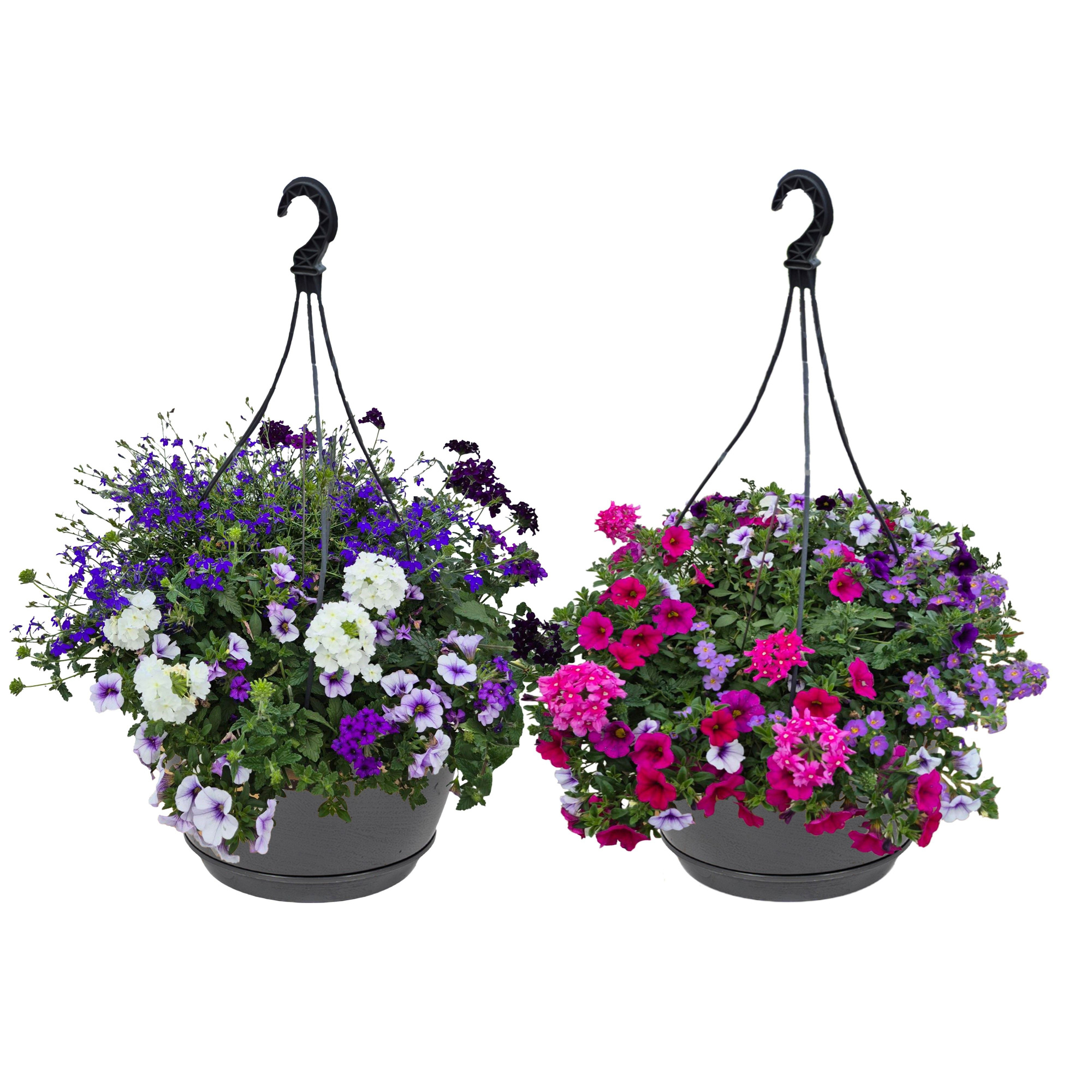 Hpot 4 plants MIXpot mixkar Zonder hoes, D 25