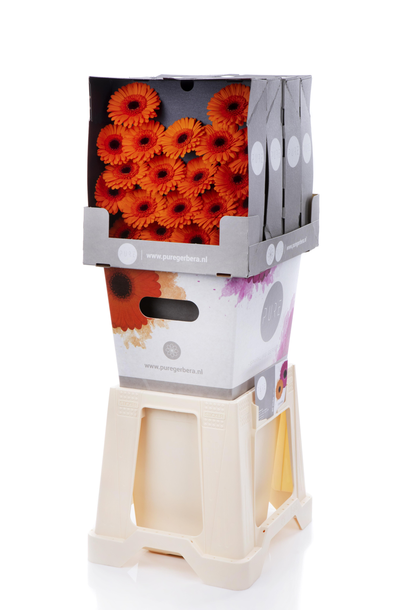 Гермини Карамба, шт.