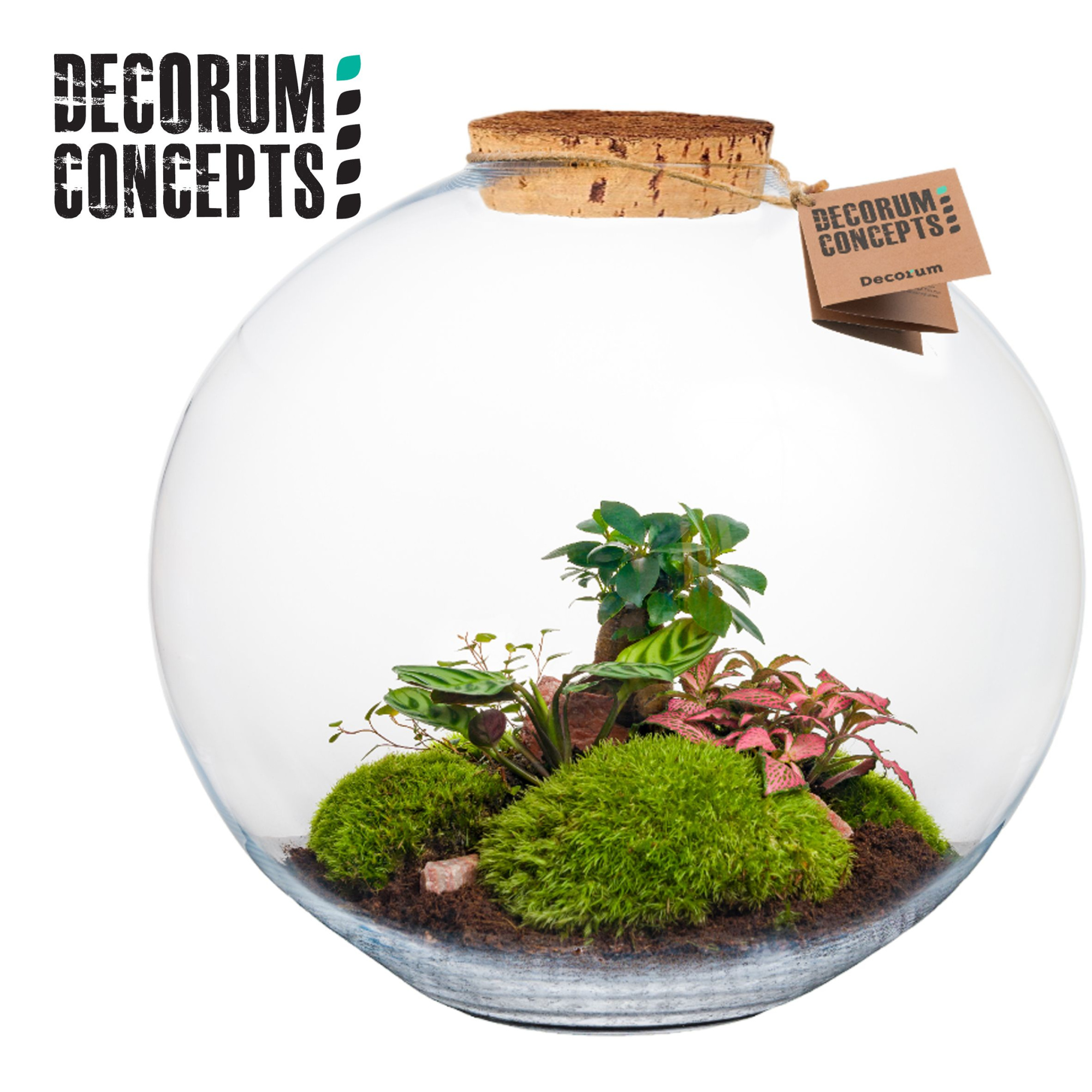 Terrarium Moon (Decorum concepts), D 40 cm