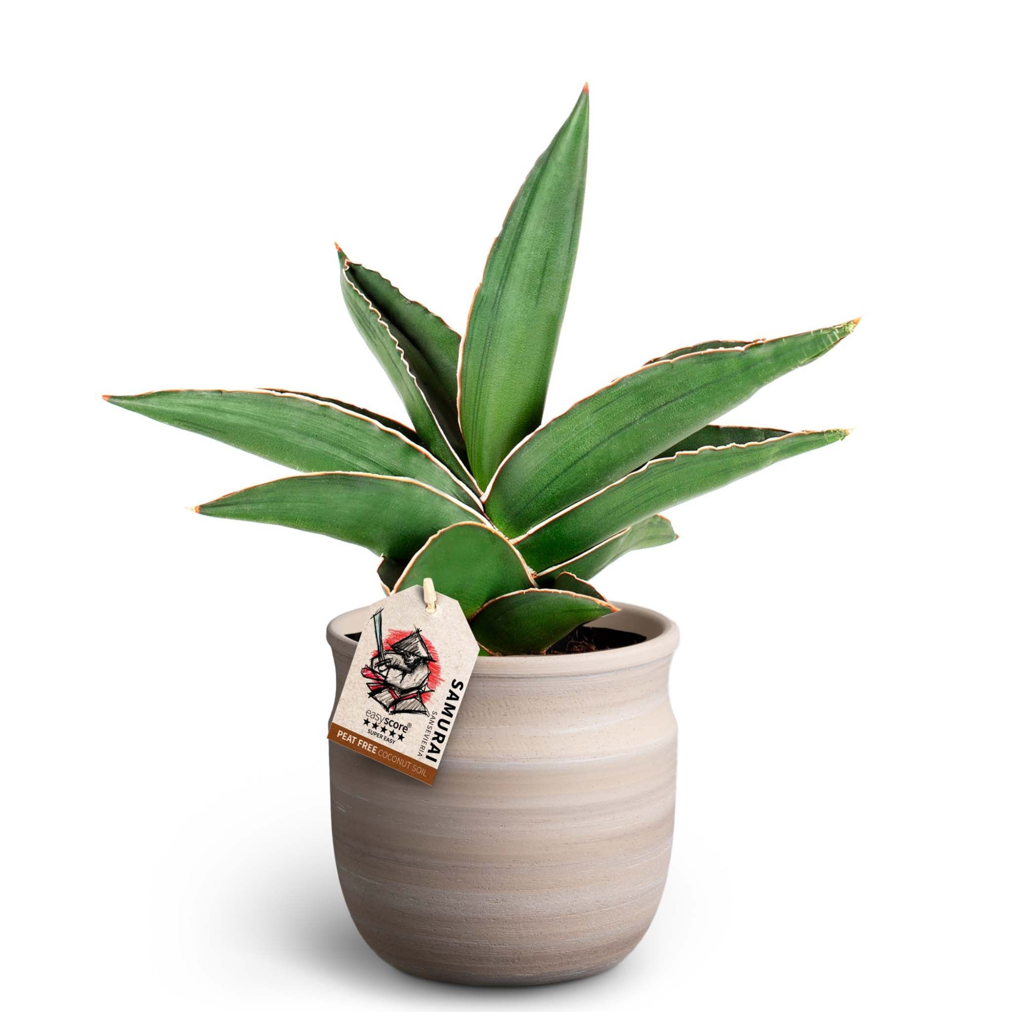 Maceta Sand, Samurai, D 12 cm