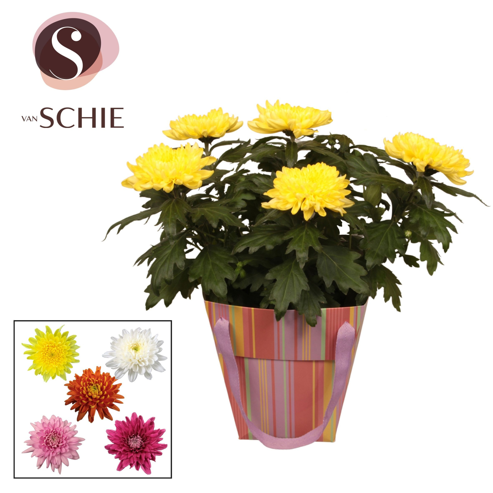 Chrys Zembla Next Mix Bag STRIPES, D 17 cm