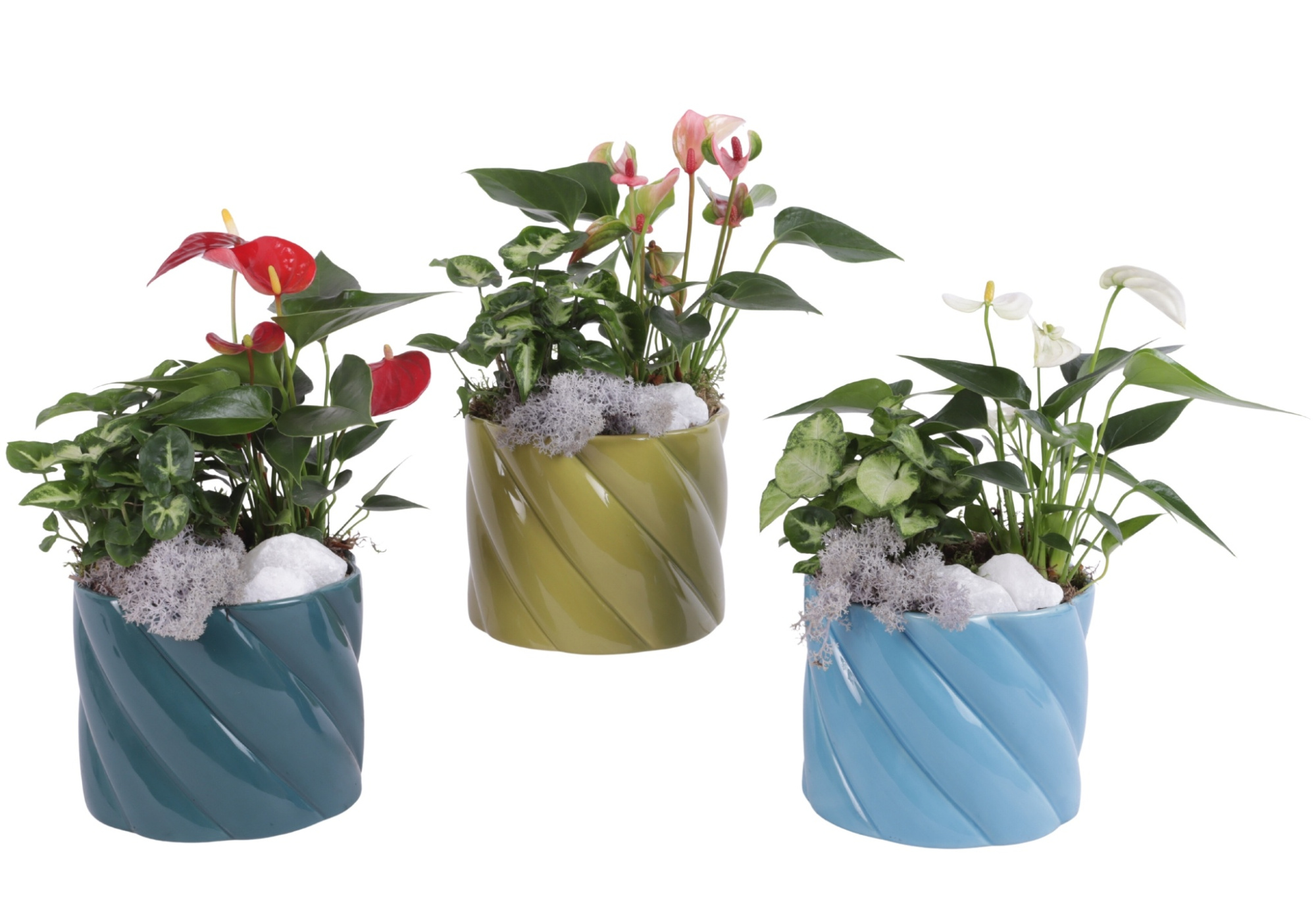 Yearround Arr. Indoor Ceramic Fresh Breeze FB674 Ø14cm 2PP, D 14