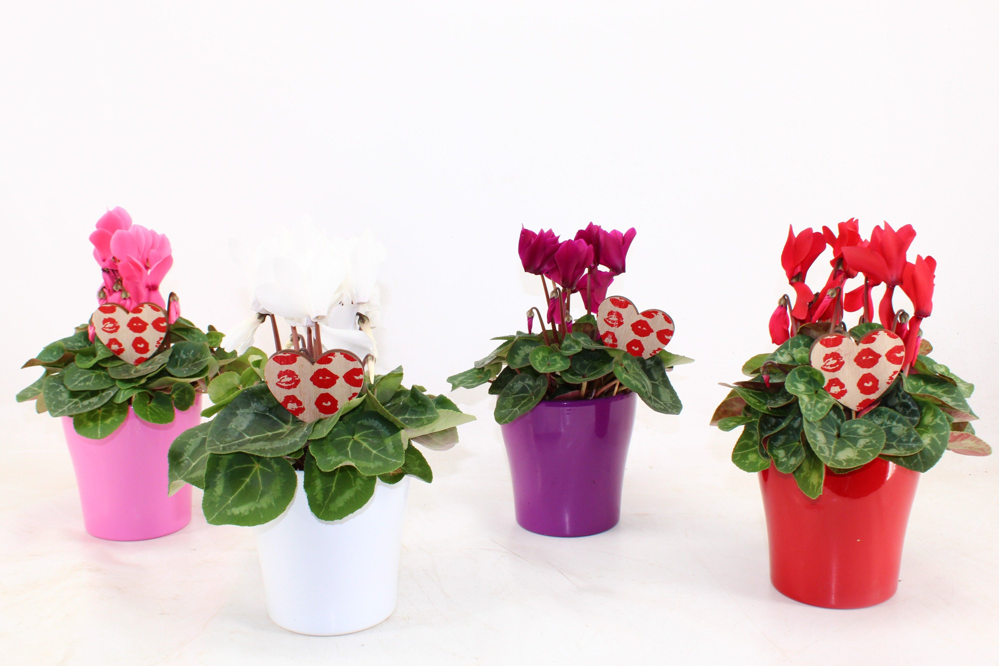 Cyclamen in Bombé" keramiek met staande Bijsteker (Valentijn), D 14 cm