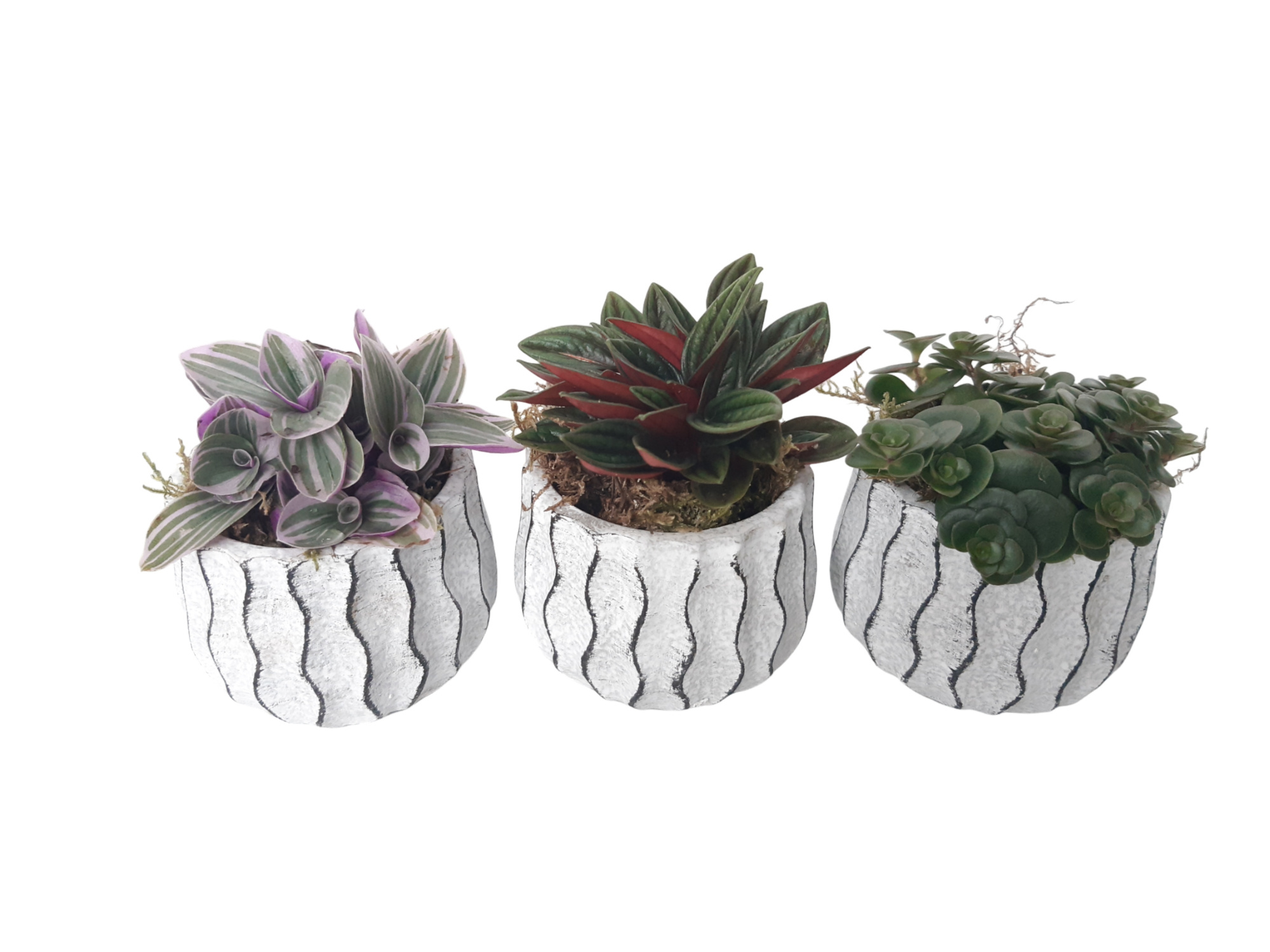 WP8HMX Wave Pot Cement 8cm mini groenmix, D 8 cm