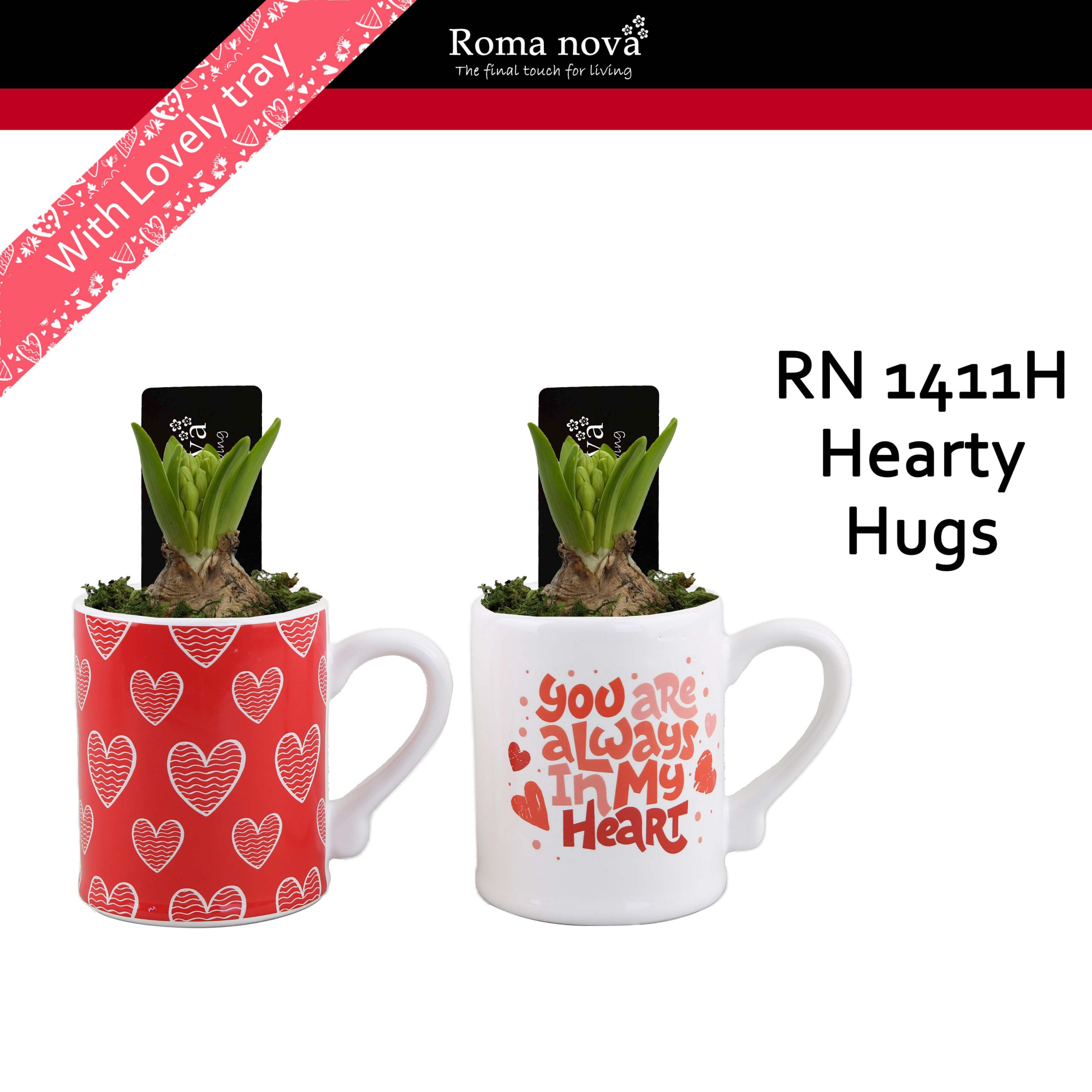 1411H - Hearty Hugs (Hyacint), D 12