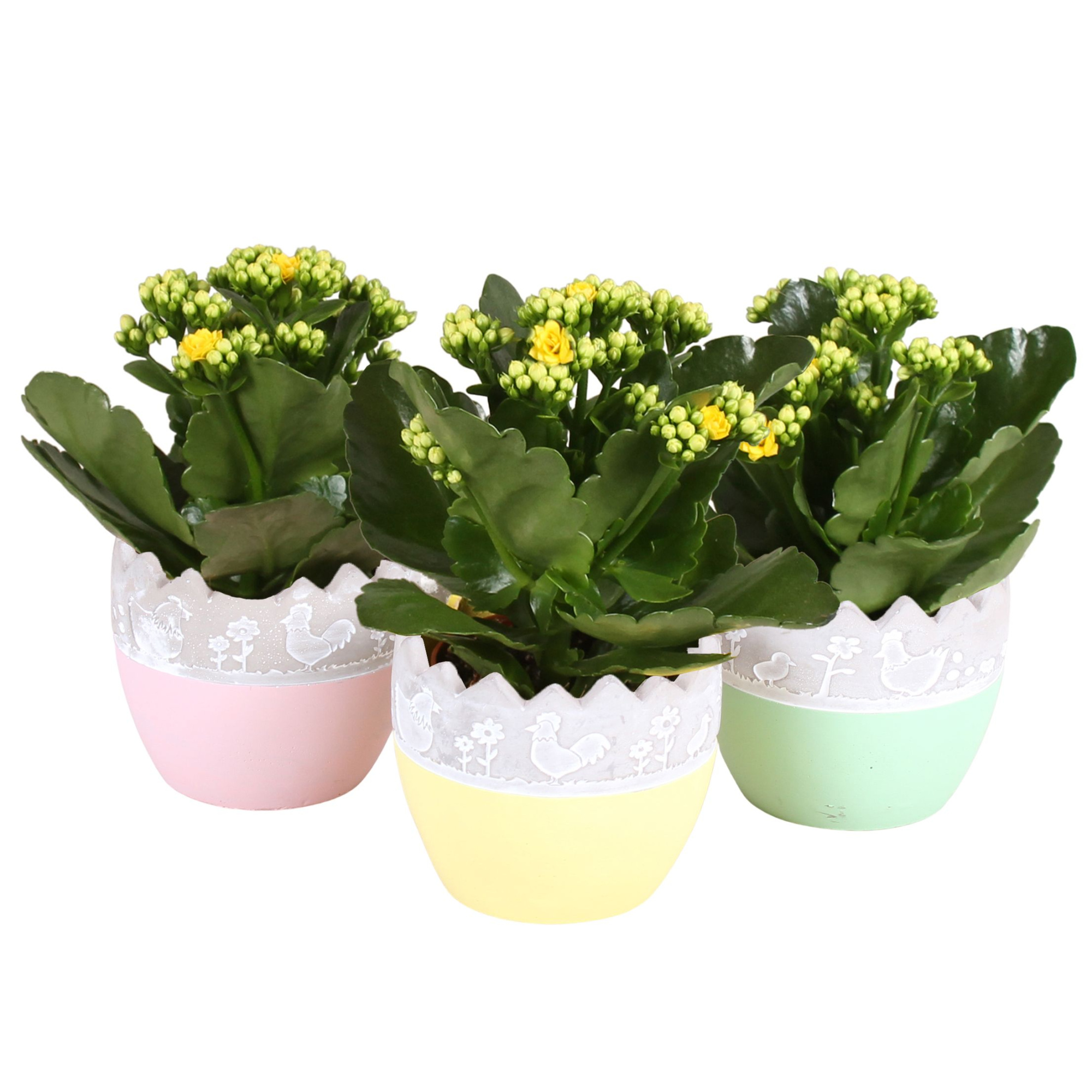 Easter Arr. Indoor Twotone Ceramic Egg Ø11cm 1PP, D 11