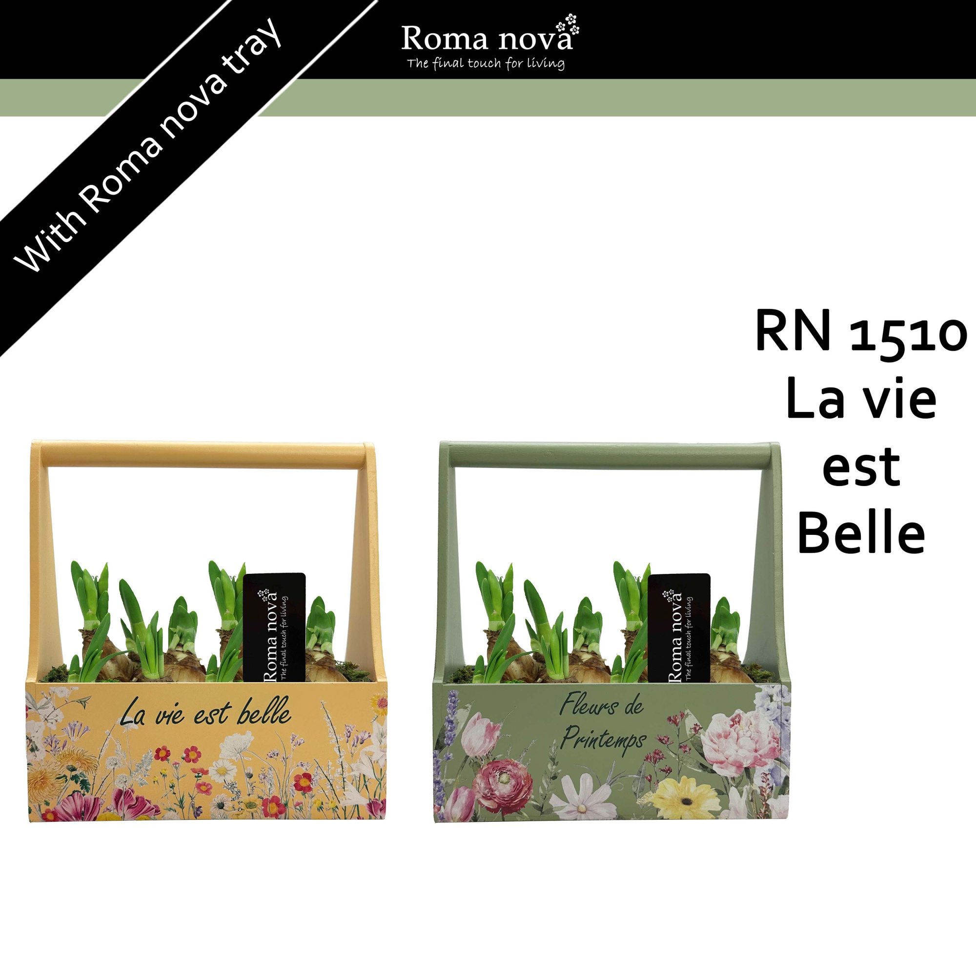 1510 - La vie est Belle (Tete a Tete), D 23