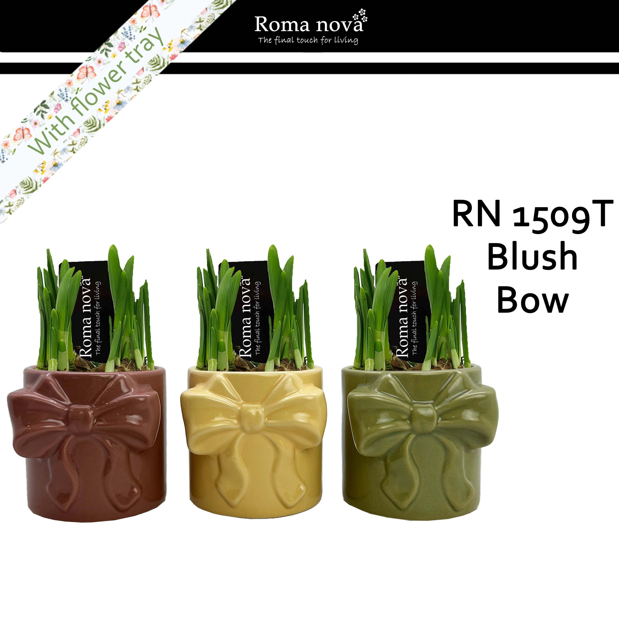 1509T - Blush Bow (Tete a Tete), D 9