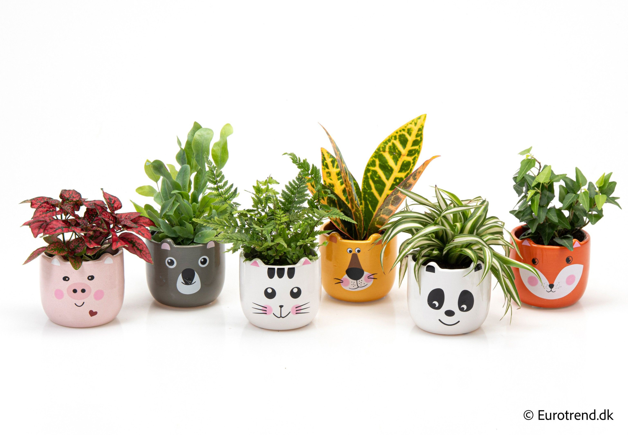 Green mix in ceramic - Spring, Summer & Autumn 2025, D 6 cm