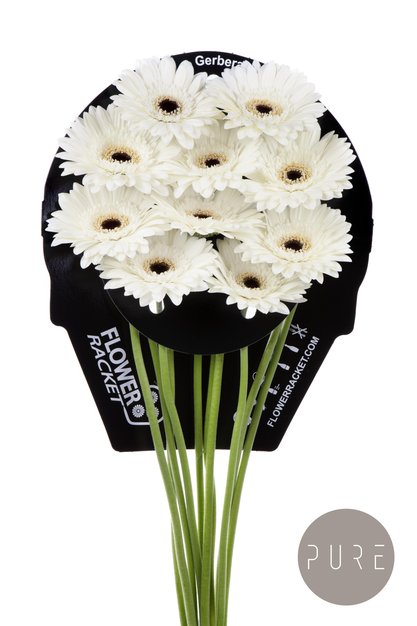 Гербера Валдано, шт.