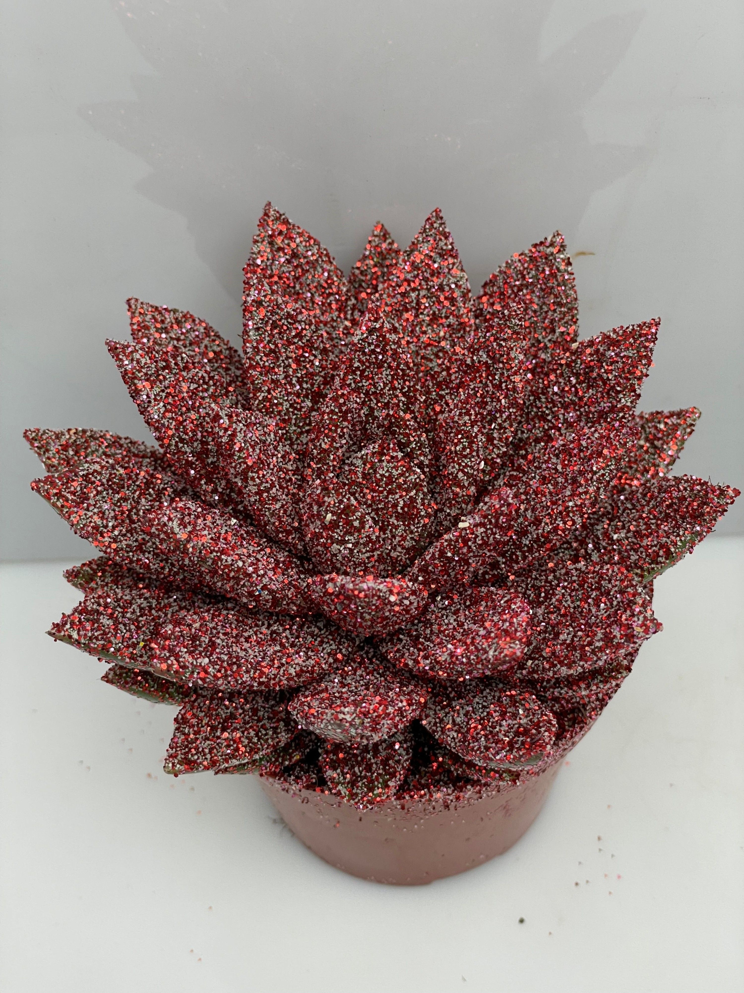 450 Kerstster BIO Twinkle glitter rood 8,5 cm, D 8,5 cm